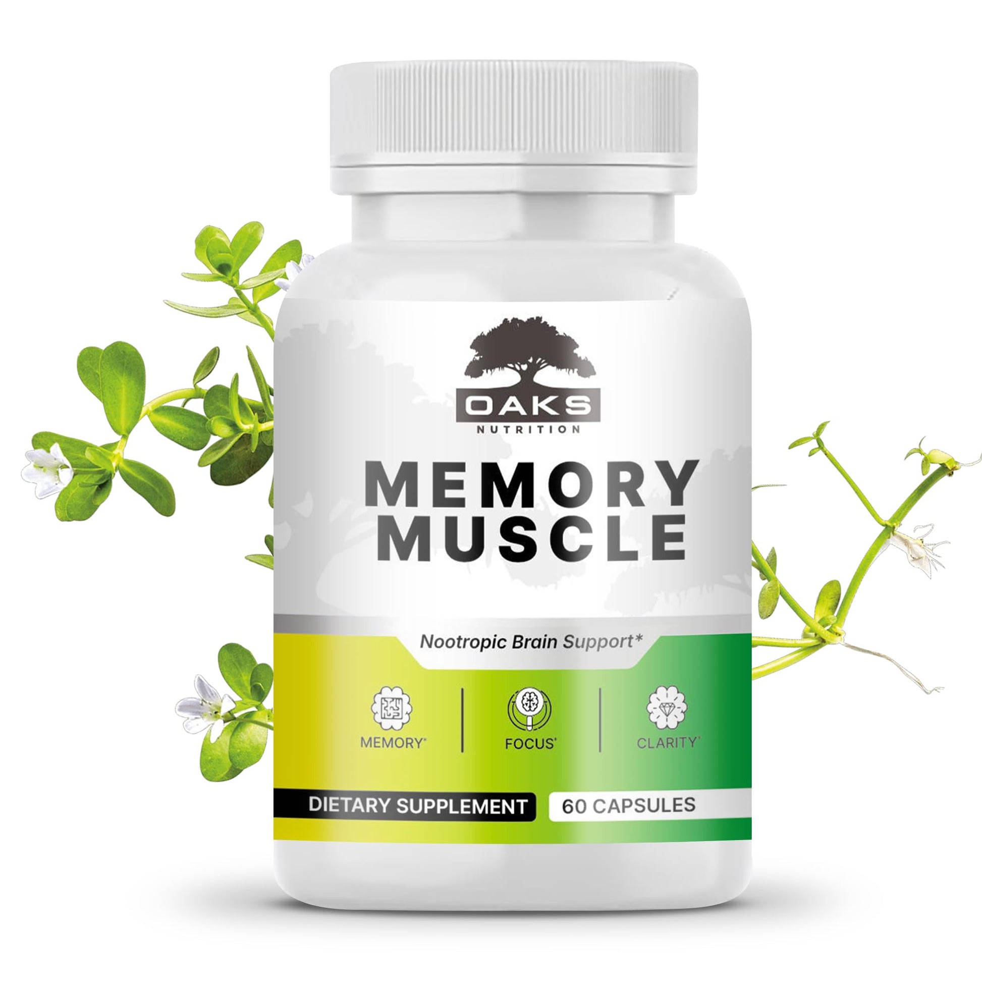 Memory Muscle – Advanced Nootropic Brain Supplement with Vitamin B12, Bacopa Monnieri & DMAE for Focus, Memory, Mental Clarity & Clean Energy – Premium Cognitive Support Formula Oaks Nutrition buy supplements canada