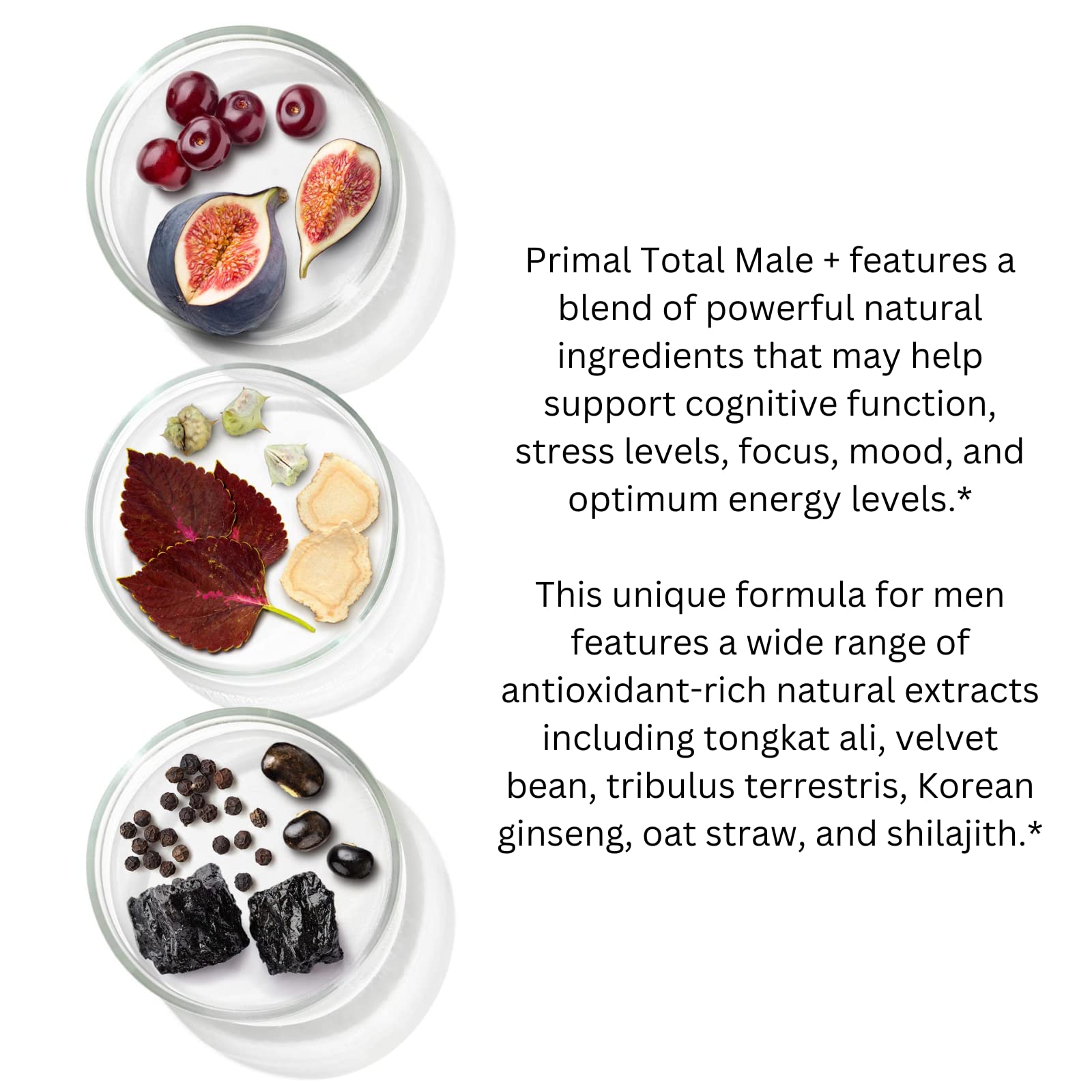 Primal Harvest Primal Total Male Natural Tribulus Terrestris, Fenugreek, Korean Ginseng Primal Harvest buy supplements canada
