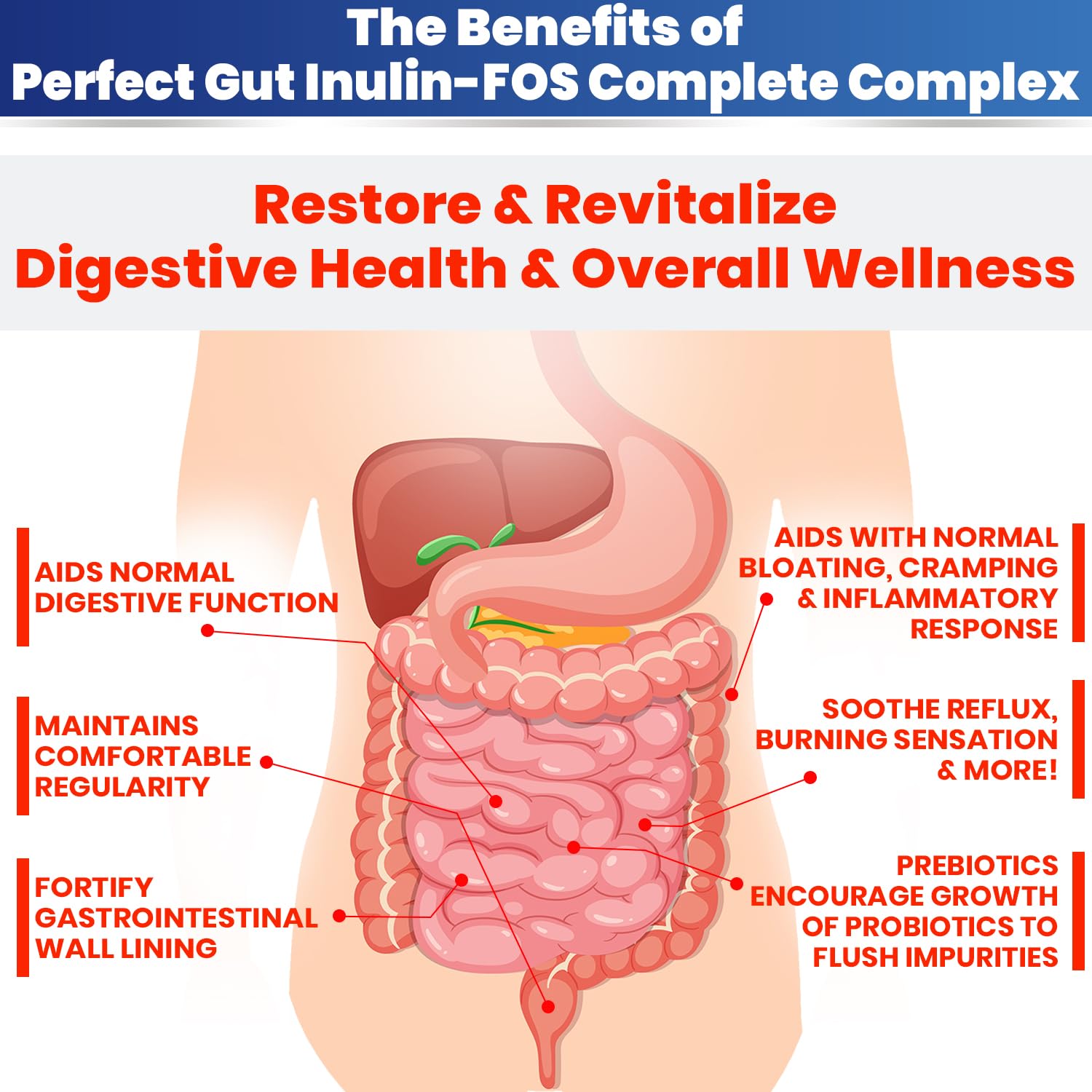 Perfect Gut: Inulin FOS Powder for Gut Health. Prebiotic Inulin. Unique Prebiotic 95% FOS Inulin Agave Fiber Kidney Restore buy supplements canada