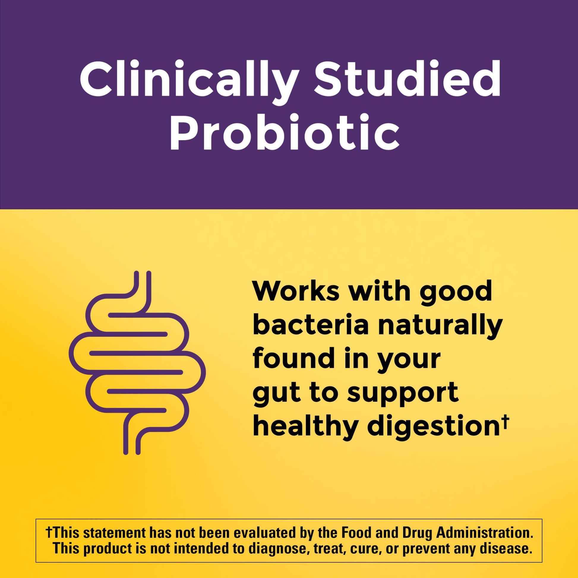 Nature Made Probiotics Extra Strength Dosage, Probiotics for Women and Men 8 Billion CFU per 2 Gummies, 42 Probiotic Gummies, 21 Day Supply Nature Made buy supplements canada