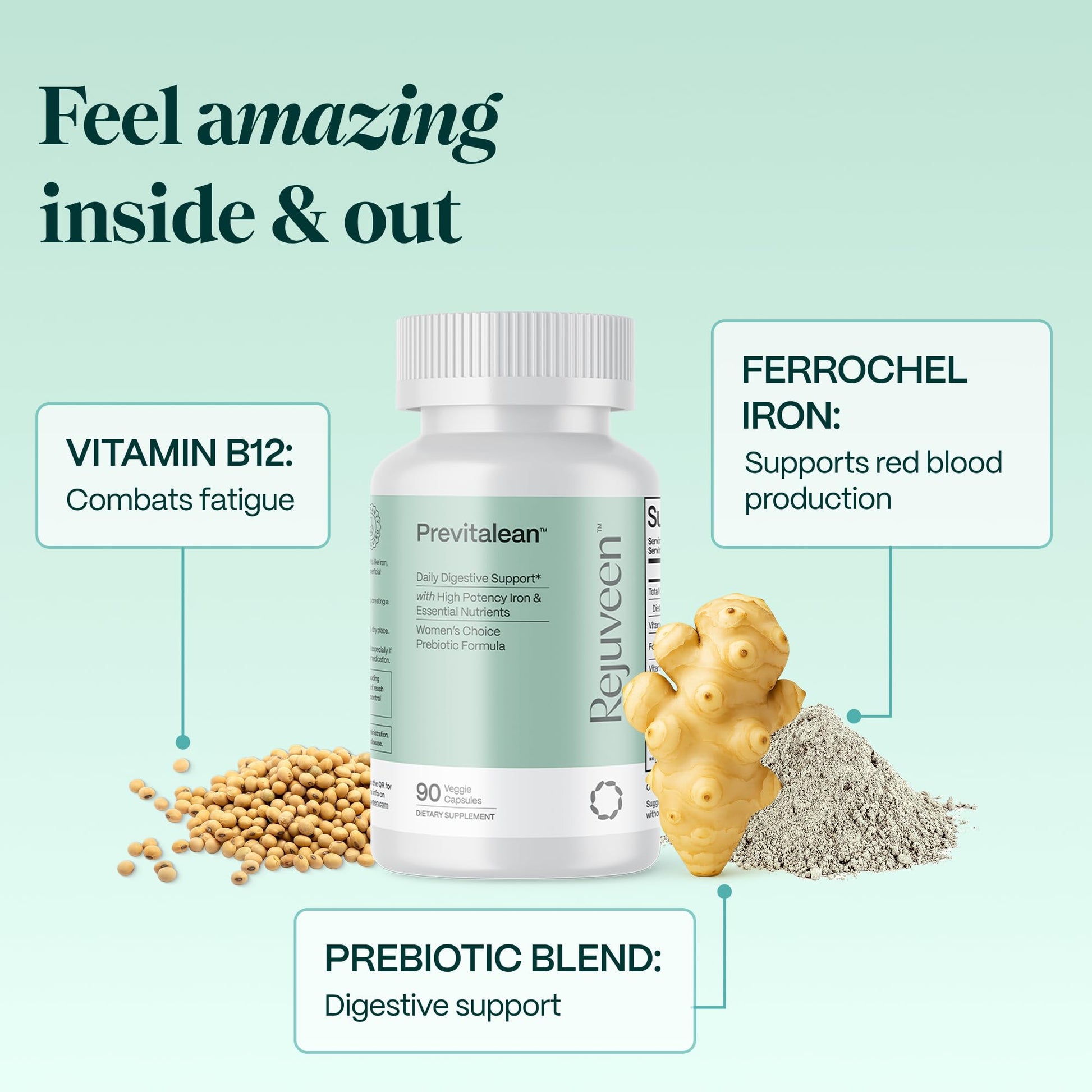 Rejuveen Previtalean | Prebiotic Fiber Supplement for Women | Supports Gut Health & Red Blood Cell Production | Contains Highly Bioavailable Iron, Folate & Vitamin B12 | 90 Ct, 30 Servings Rejuveen buy supplements canada