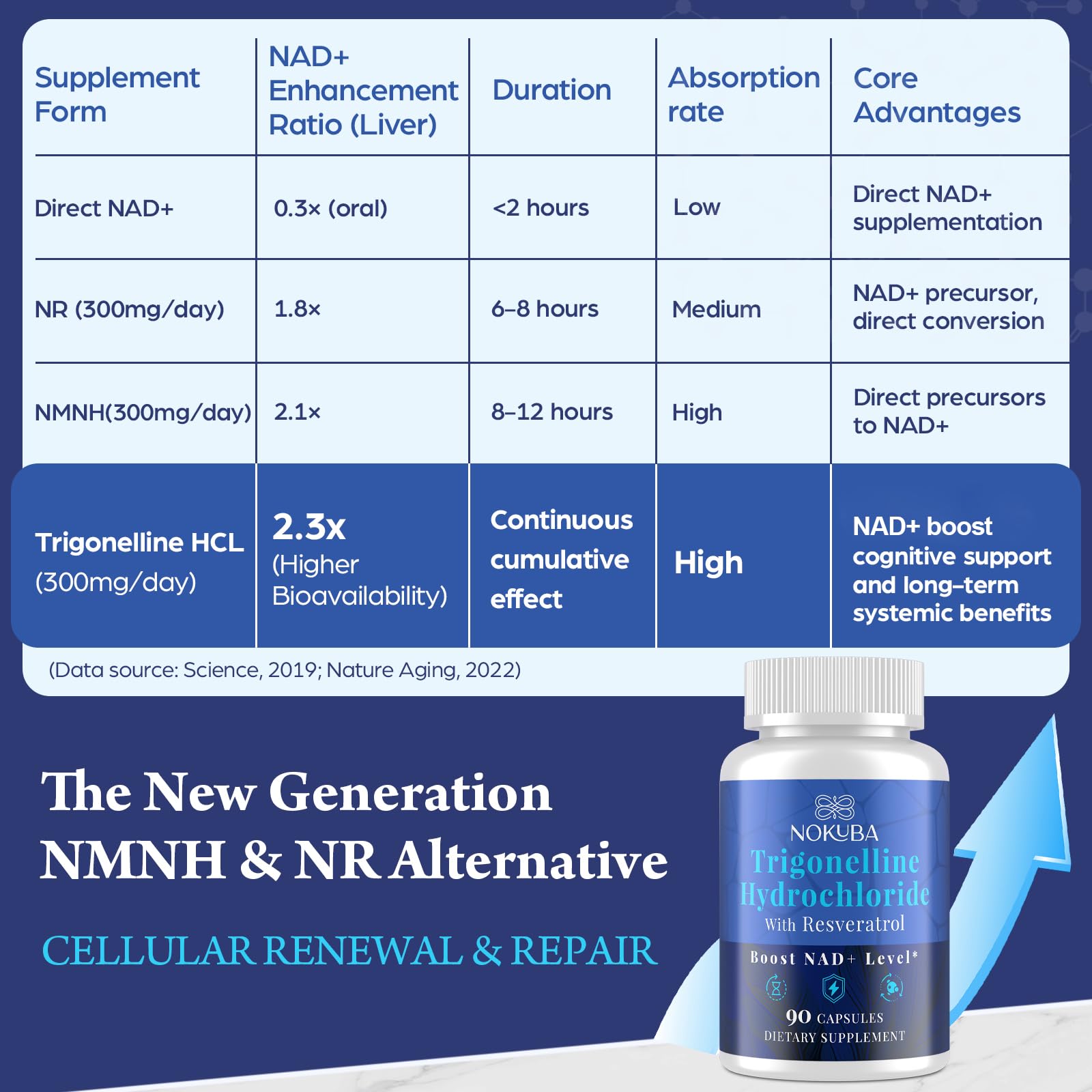 Nokuba NAD Supplement - NMNH Alternative with Trigonelline HCL 500mg & Resveratrol - NAD+ Precursors Plant Extraction - Support Cellular Energy & Healthy Aging & Brain for Women & Men - 90 Capsules Nokuba buy supplements canada