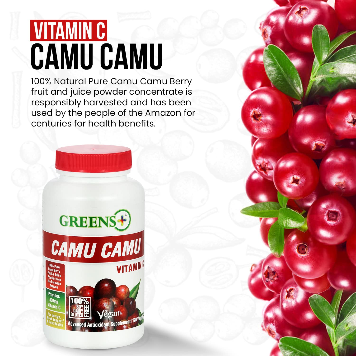 Greens+ Organic Reds Superfood Powder Camu Camu Dietary 400mg Vitamin C SuperFruit Supplement 120 Capsules, 100% Natural, Vitamins & Minerals, Vegan, Soy/Dairy/Gluten Free Greens+ buy supplements canada