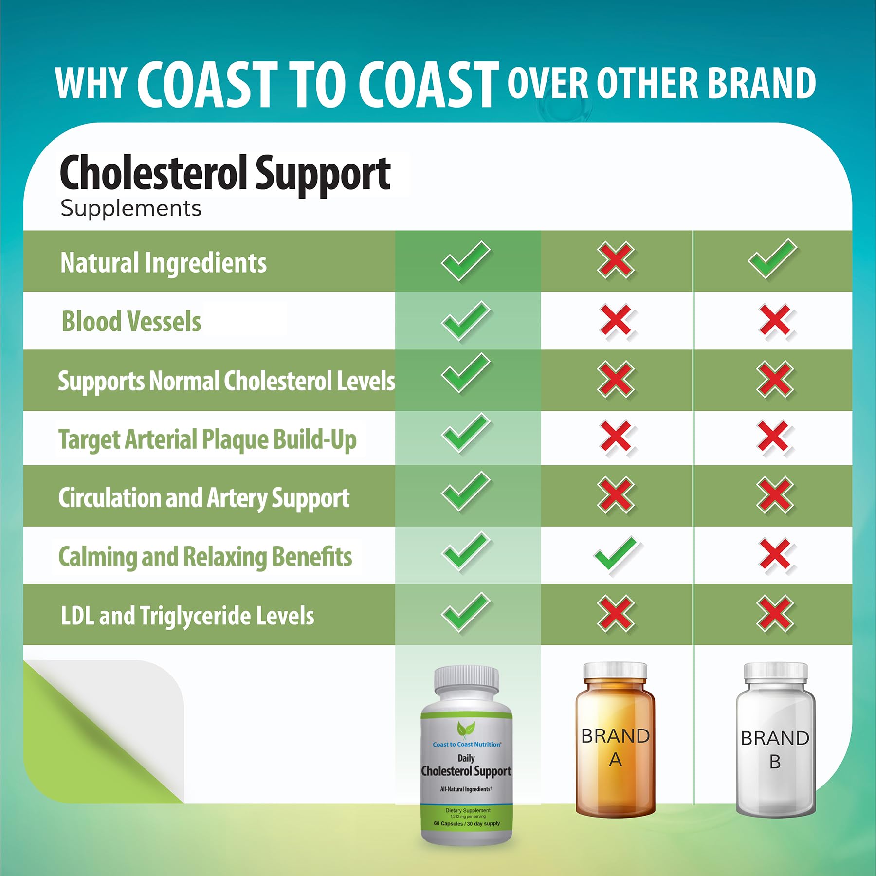 Coast to Coast Nutrition Cholesterol Support Supplement - Support Cardiovascular & Artery Performance, Target Bad LDL Levels & Plaque Calcium Buld-Up - Promote Circulation & Blood Flow - 60 Capsules Coast to Coast Nutrition buy supplements canada
