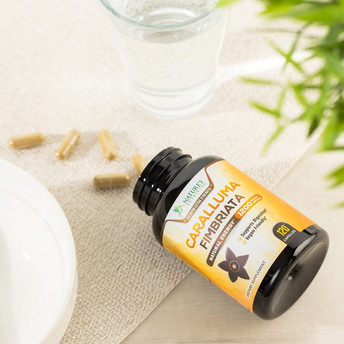 Pure Caralluma Fimbriata Extract Highly Concentrated 1200mg - Natural Endurance Support Nature's Nutrition buy supplements canada