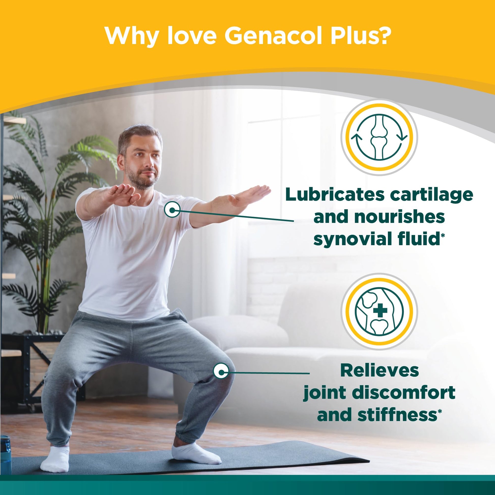 Genacol Plus – Glucosamine and Collagen Joint Supplement, Lubricates, Protects and Maintains Heathy Joints, Relieves Joint Discomfort Plus, 180 Capsules (60-Day Supply) Genacol buy supplements canada