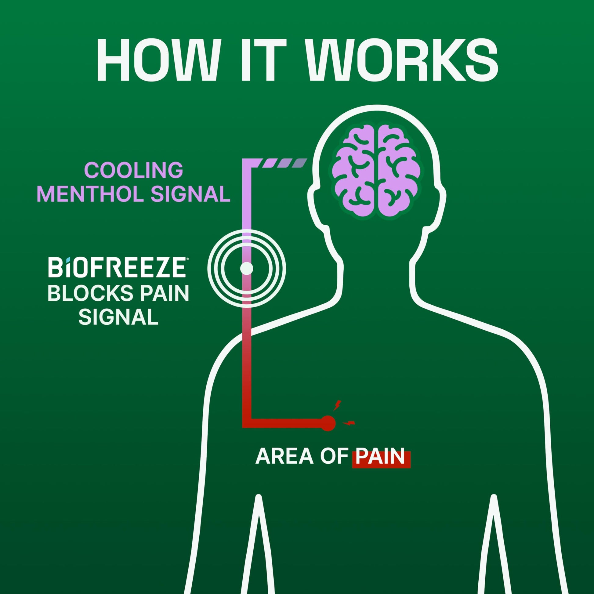 Biofreeze Overnight Gel Pain Relief, Knee & Lower Back Pain Relief, Arthritis Pain Reliever, Neck Pain Relief, Cooling Joint Pain Relief, Lavender Scented Menthol Gel 3 Fl Oz Biofreeze buy supplements canada