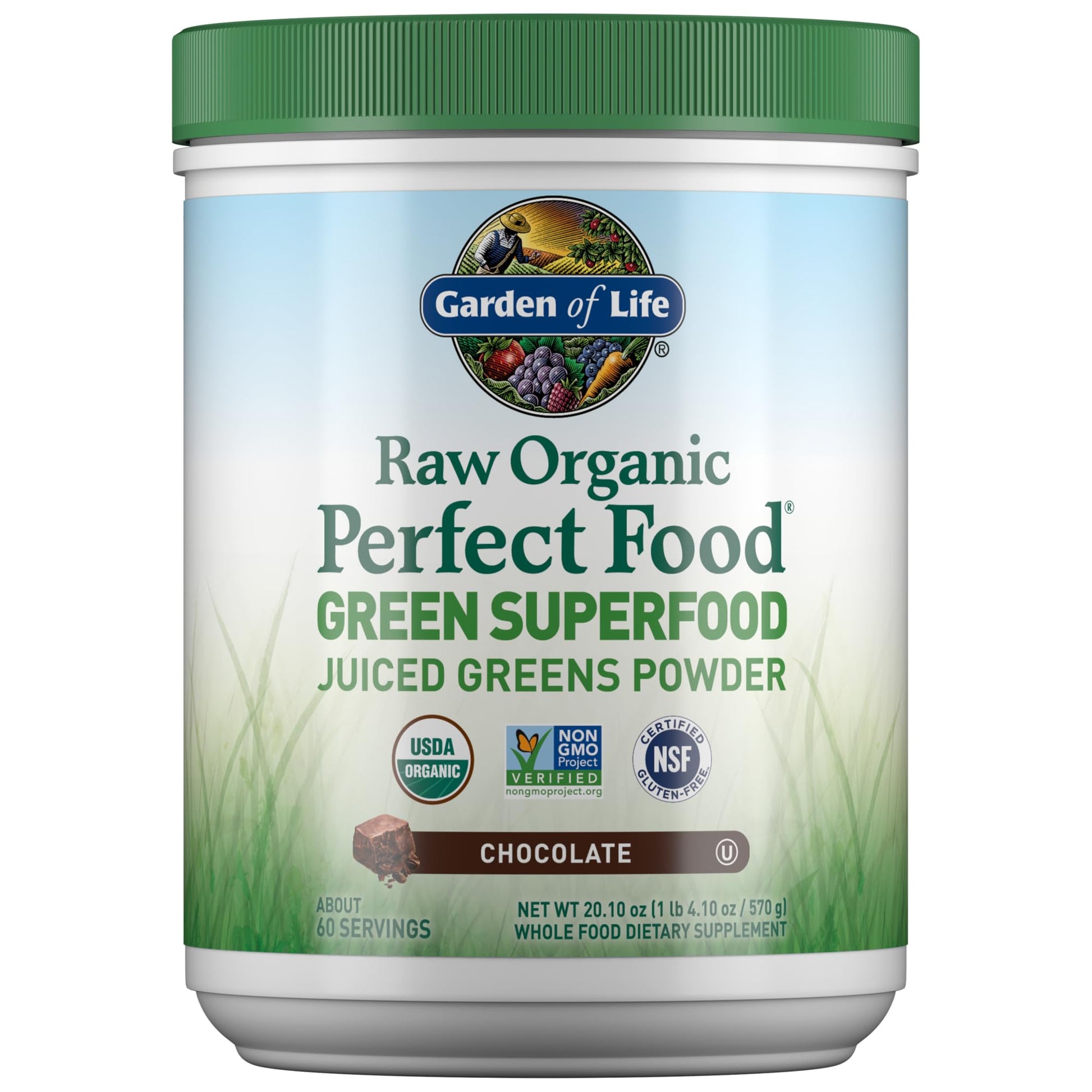 Garden of Life Raw Organic Perfect Food Green Superfood Juiced Greens Powder - Chocolate, 60 Servings, Non-GMO, Gluten Free, Vegan Whole Food Dietary Supplement Plus Probiotics, Enzymes Garden of Life buy supplements canada