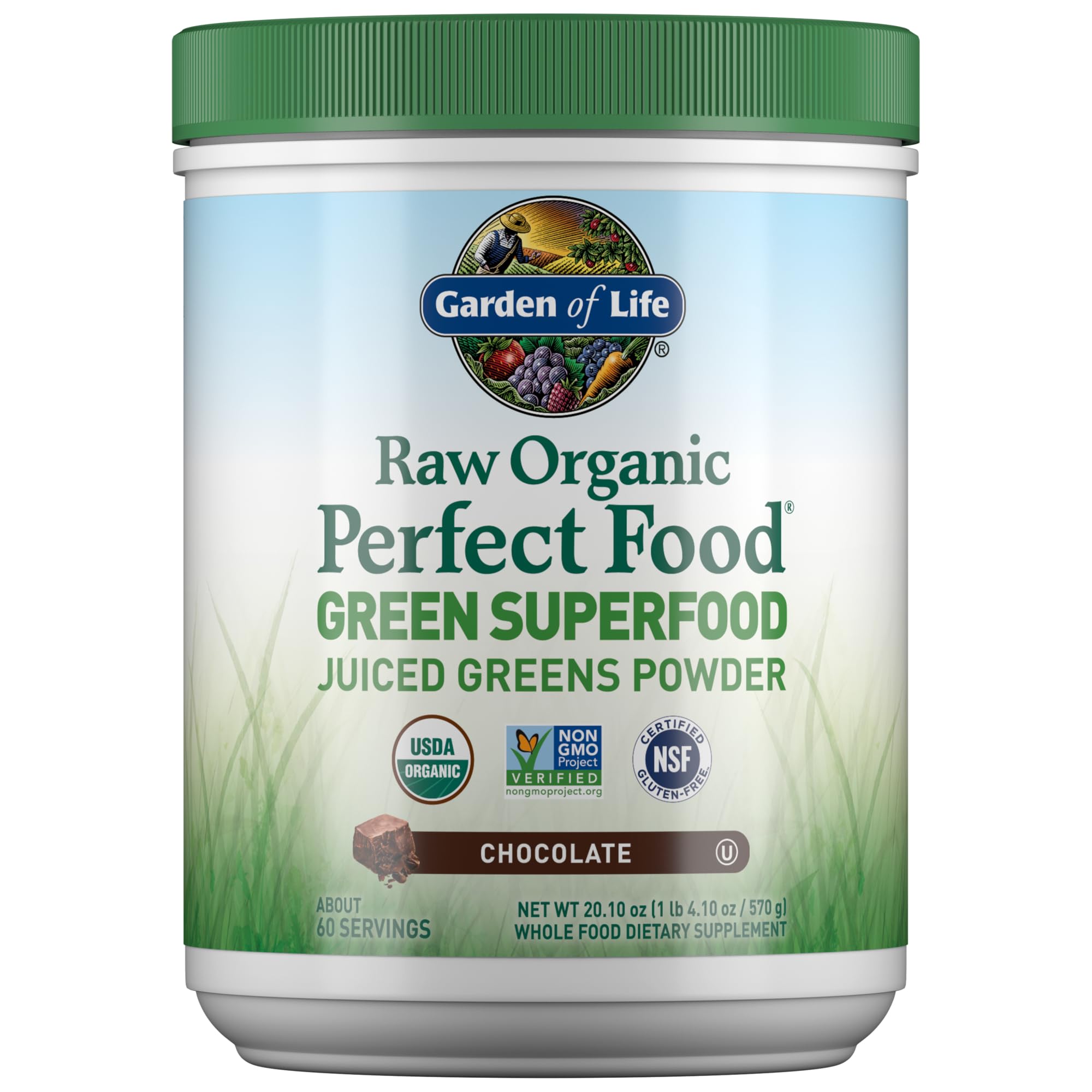 Garden of Life Raw Organic Perfect Food Green Superfood Juiced Greens Powder - Chocolate, 60 Servings, Non-GMO, Gluten Free, Vegan Whole Food Dietary Supplement Plus Probiotics, Enzymes Garden of Life buy supplements canada