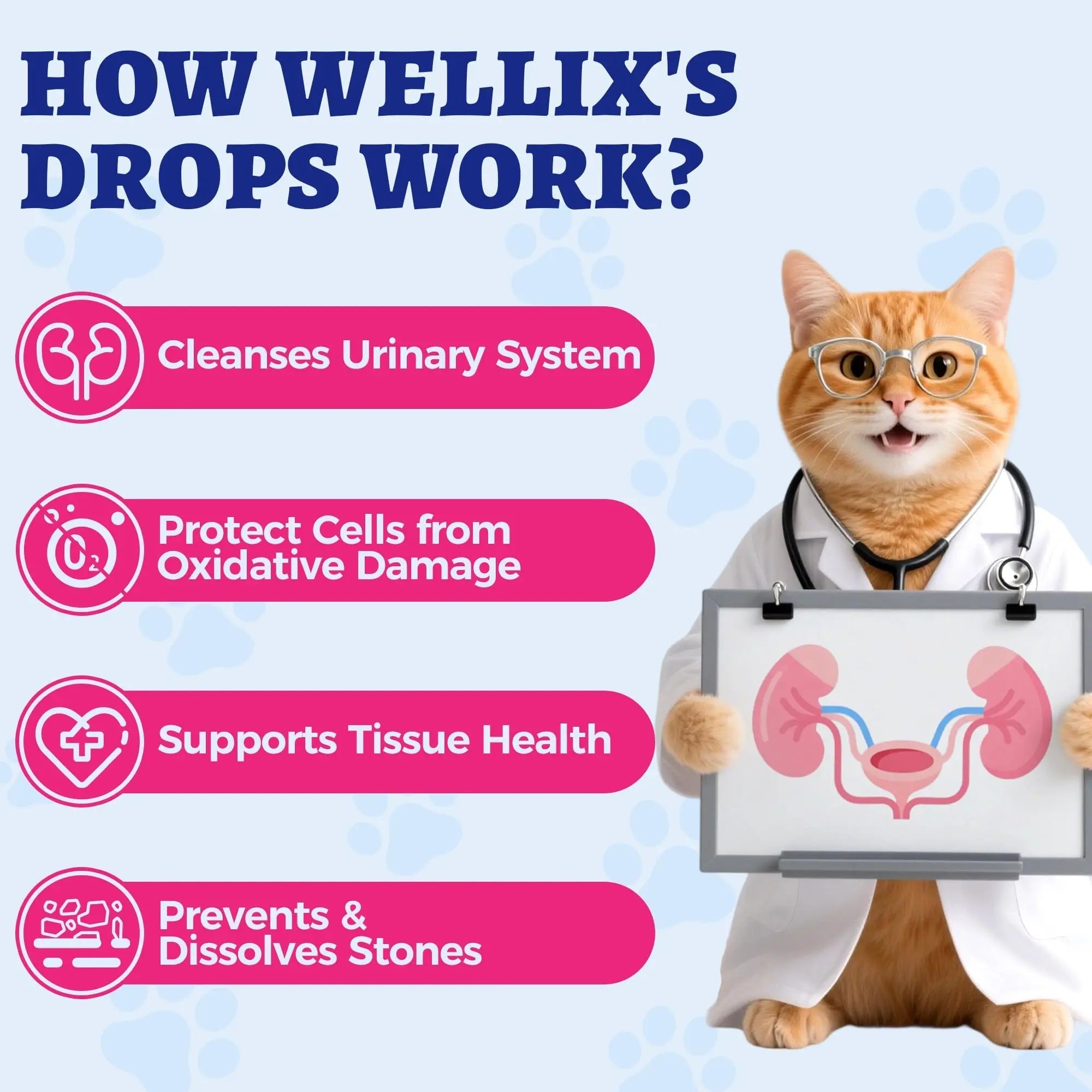 4oz Wellix Natural Cat & Dog UTI Treatment Drops,Cat & Dog Urinary Tract Infection Treatment - Cranberry & D-Mannose for Dogs & Cats - Kidney Health Supplement Wellix buy supplements canada
