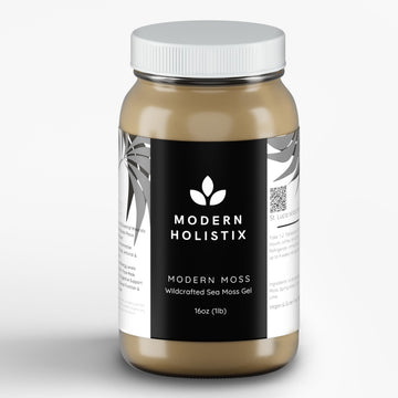 Modern Holistix Original Sea Moss Gel – 32oz Jar | Wildcrafted | All-Natural Superfood for Immunity, Energy & Gut Health Modern Holistix buy supplements canada