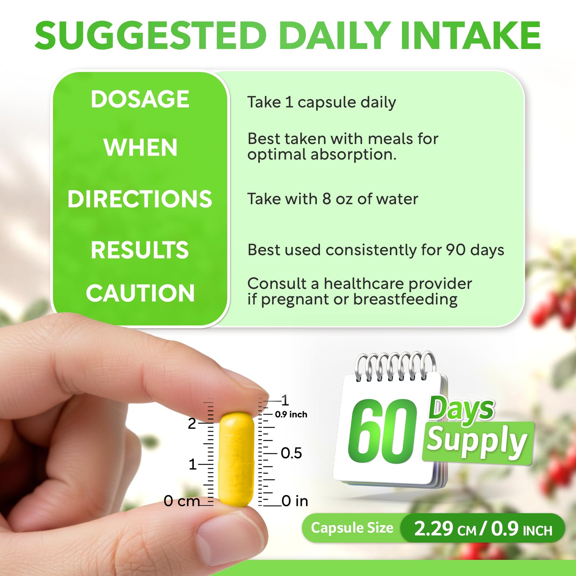 Dalnara Dihydroberberine Capsules 250mg, 60 Count - Supports Metabolic Wellness & Balanced Energy, Non-GMO,Dihydroberberine Supplement Dalnara buy supplements canada