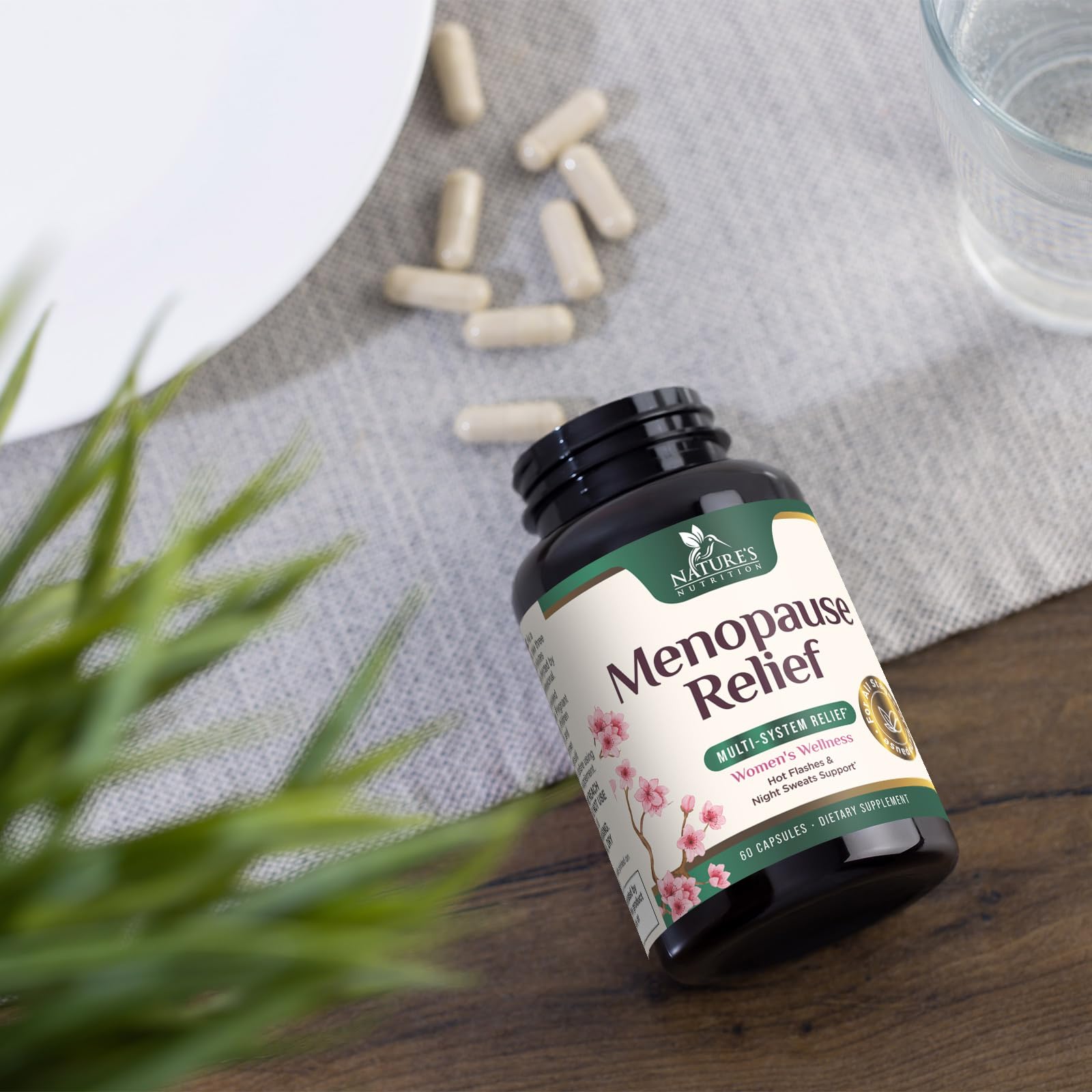 Menopause Supplement for Women - Natural Menopause Relief Support for Mild Hot Flashes & Night Sweats - Best Probiotics for Women, Dong Quai, Black Cohosh, Ashwagandha - Bottled in USA - 60 Capsules Nature's Nutrition buy supplements canada