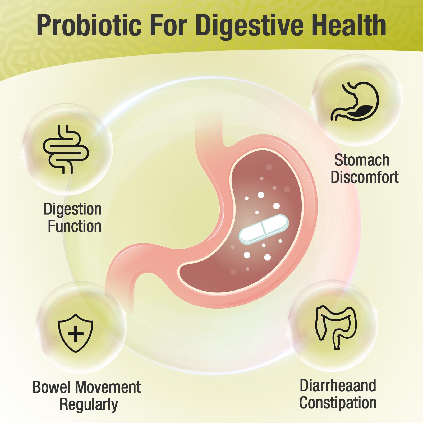Probiotics for Women & Men - 300 Billion CFU, 24 Strains + 15 Organic Herbs Prebiotics Blend, Daily Probiotic for Digestive Health, Immune, Gut, Bloating Ascuoli buy supplements canada