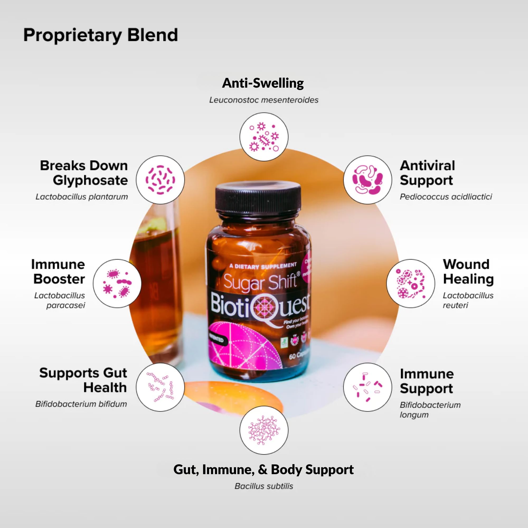 BiotiQuest Sugar Shift Probiotic | Helps Decrease Sugar & Carb Cravings and Supports Digestive Balance | 22 Billion CFU | Non-GMO, Gluten-Free, & Vegan | 60 Servings BiotiQuest buy supplements canada