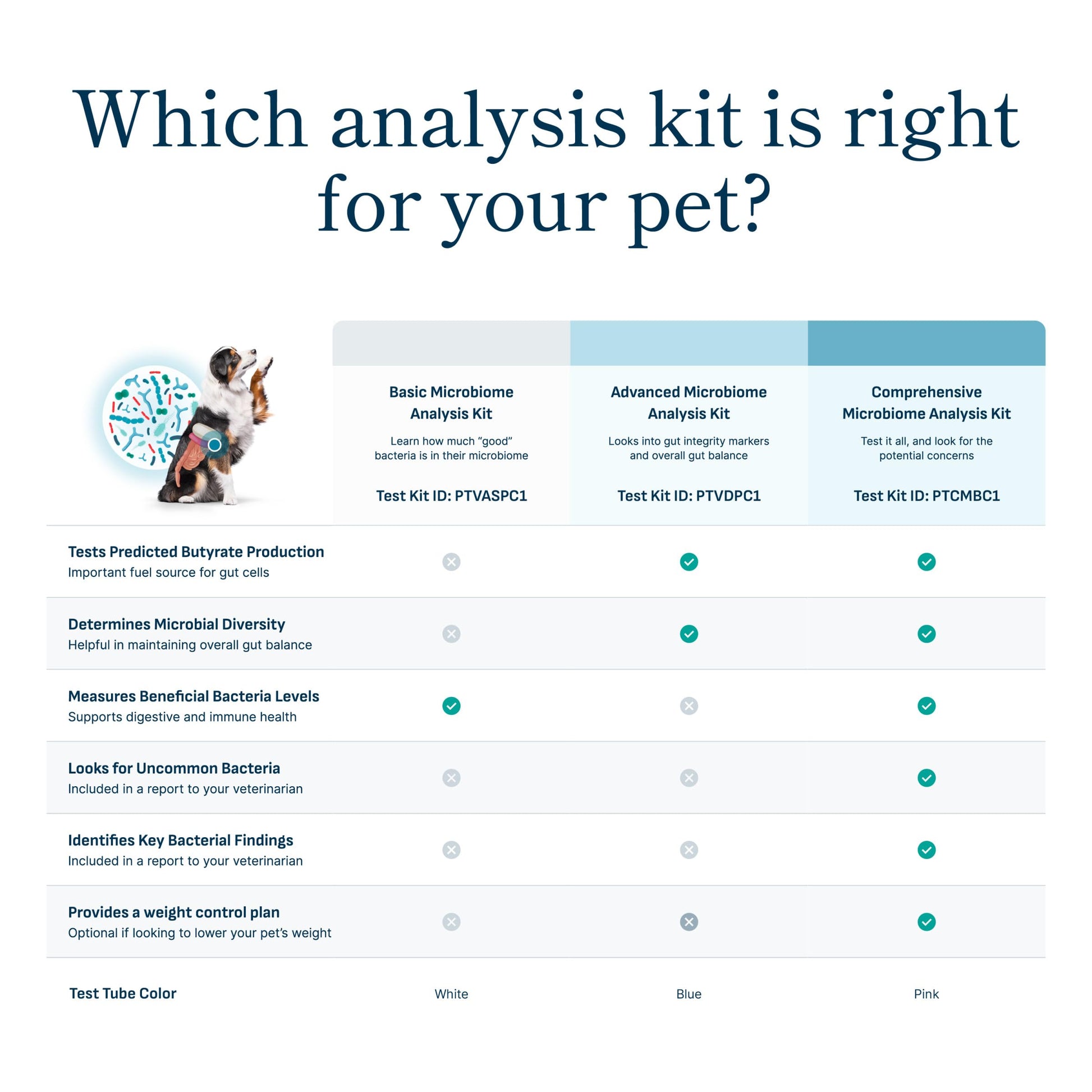 Petivity Microbiome Analysis Kit — Basic for Cats and Dogs, Powered by Purina - 4.8 oz. Box petivity buy supplements canada