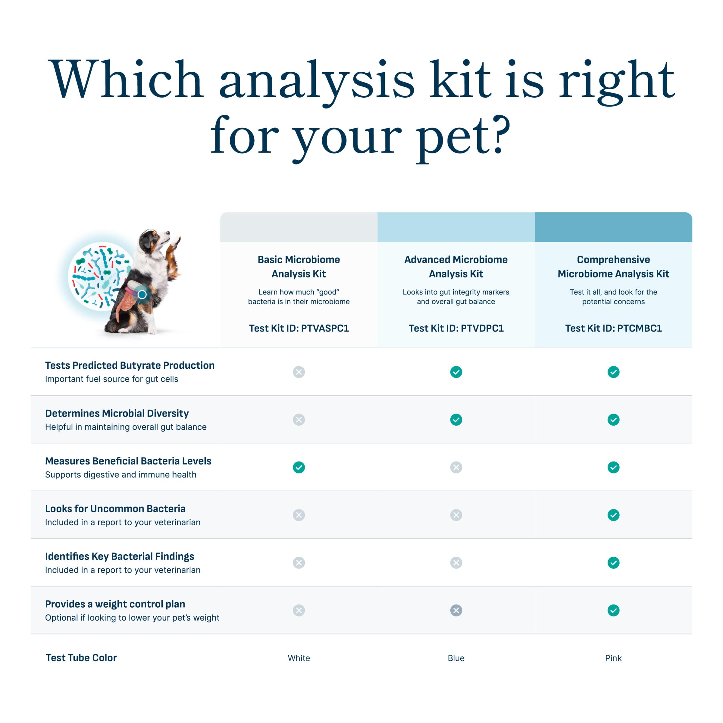 Petivity Microbiome Analysis Kit — Basic for Cats and Dogs, Powered by Purina - 4.8 oz. Box petivity buy supplements canada