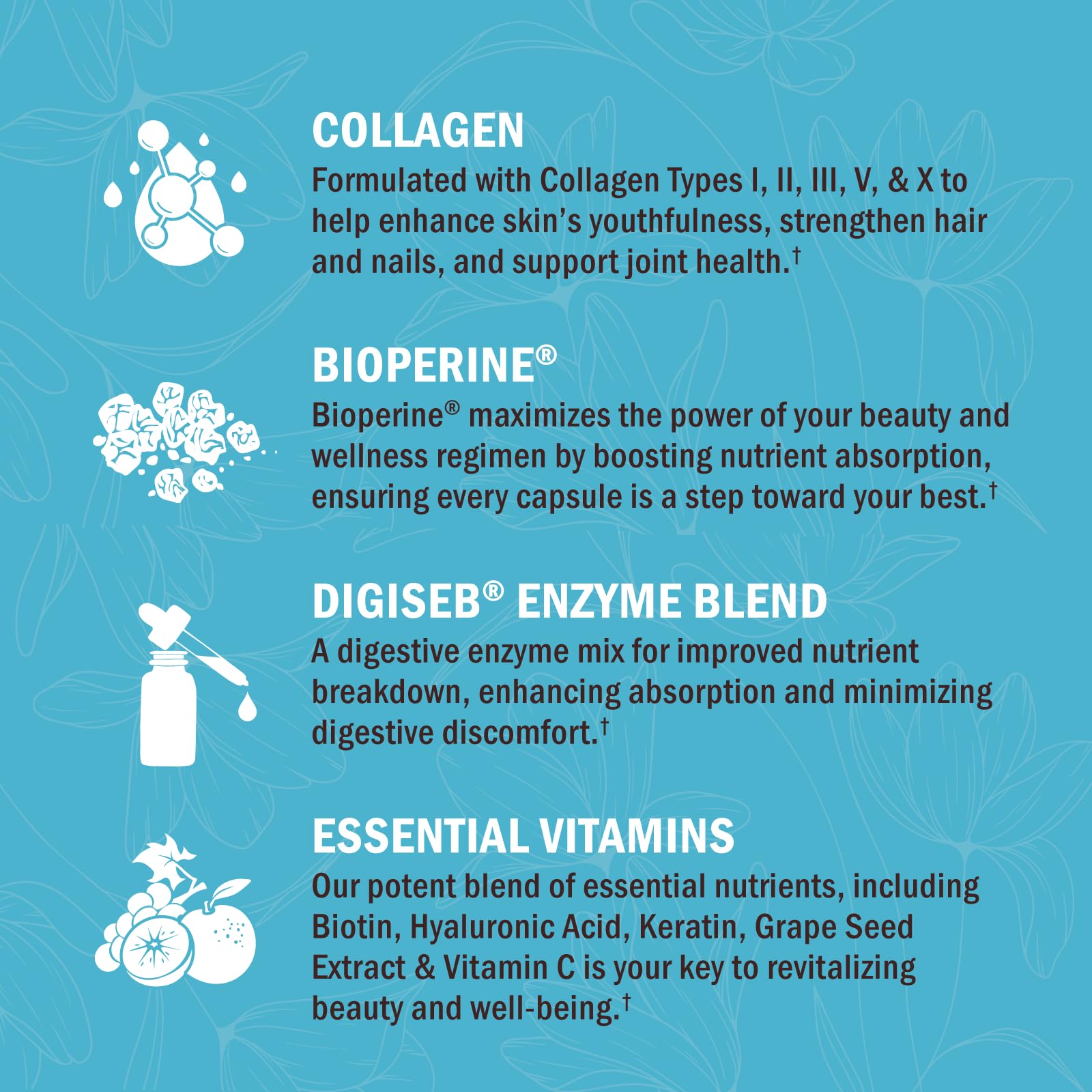 Multi Collagen Pills for Women (Types I II III V X) with Vitamin C Hyaluronic Acid Biotin BioSchwartz buy supplements canada