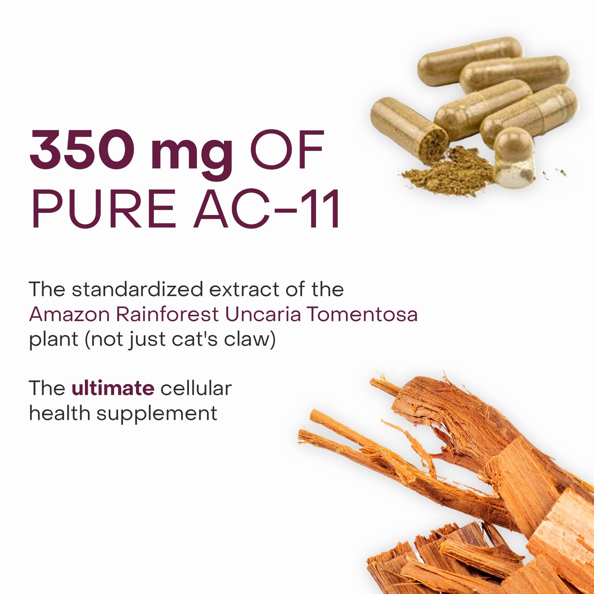 Healthycell Telomere Length Supplement - Anti-Aging Telomere Lengthening Supplements with Phytonutrients & Vitamins for Cellular Health - AC-11, Astragalus & Resveratrol - 30 Capsules Healthycell buy supplements canada