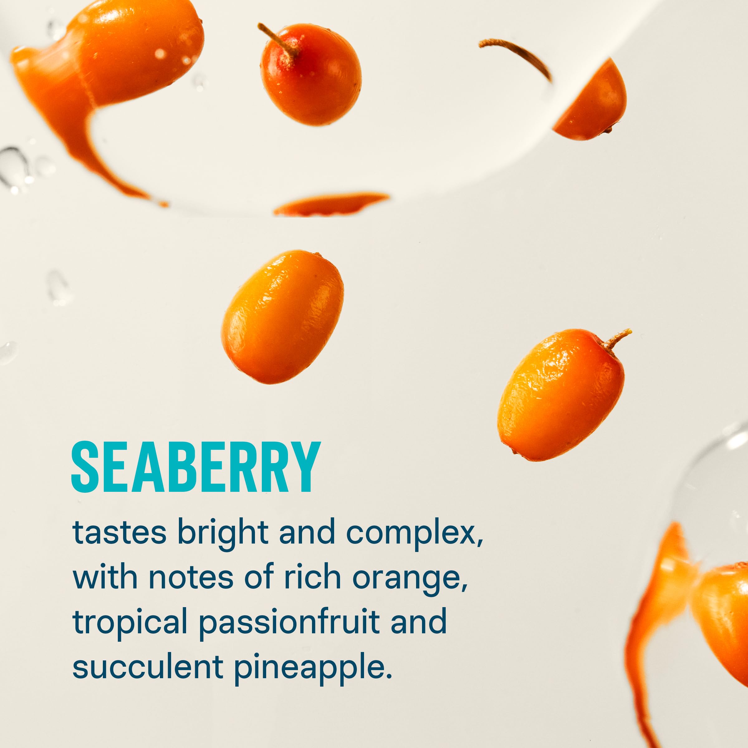 Liquid I.V.® Hydration Multiplier - Seaberry | Electrolyte Powder Drink Mix | 1 Pack (16 Servings) Liquid I.V. buy supplements canada