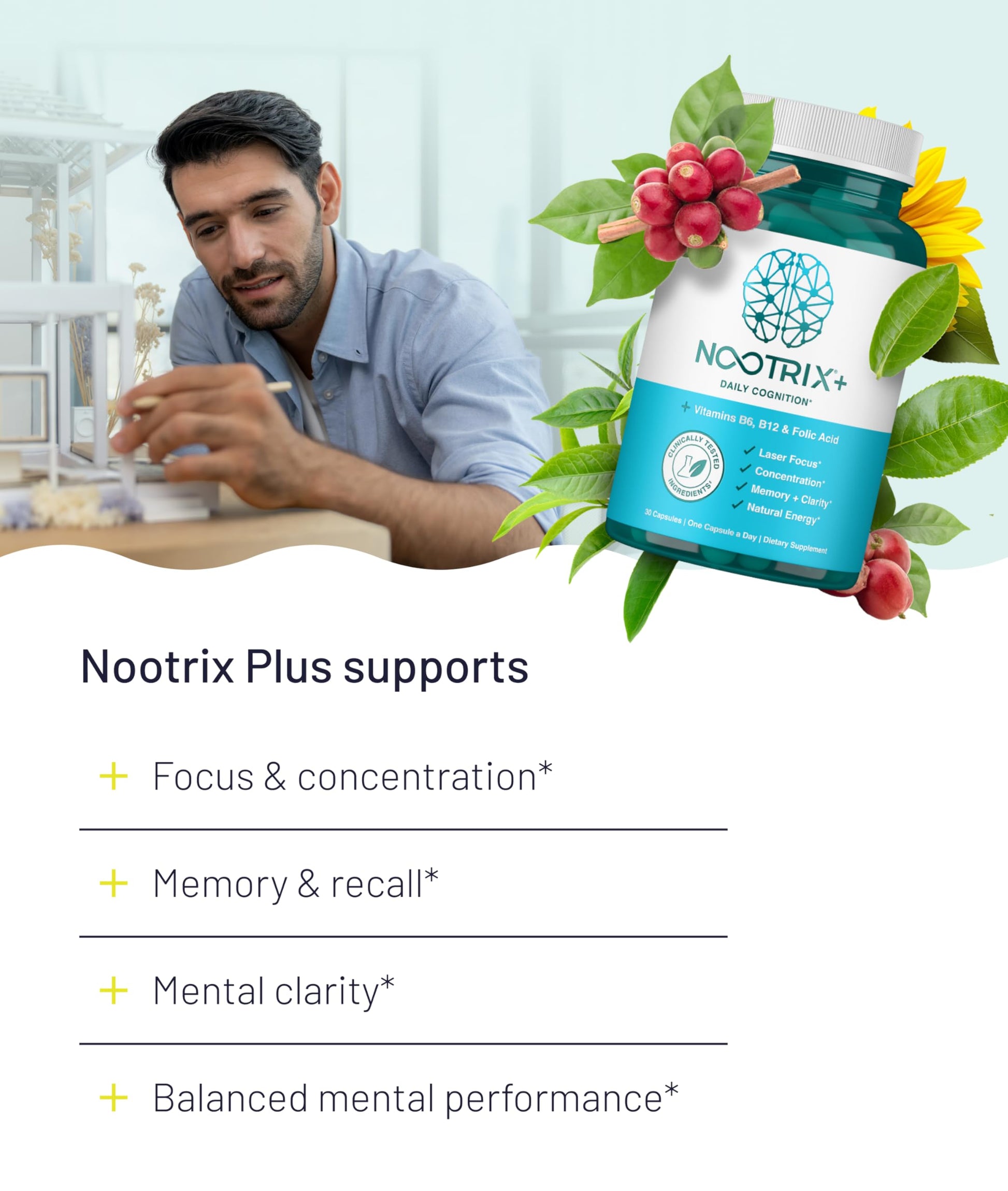 Nootrix Brain Plus Nootropic Supplement | Supports Memory, Mental Focus, Cognitive Health & Energy | Promotes Healthy Mood & Brain Function | Vitamin B1, Vitamin B6 & Vitamin B12 | 30 Capsules Nootrix buy supplements canada