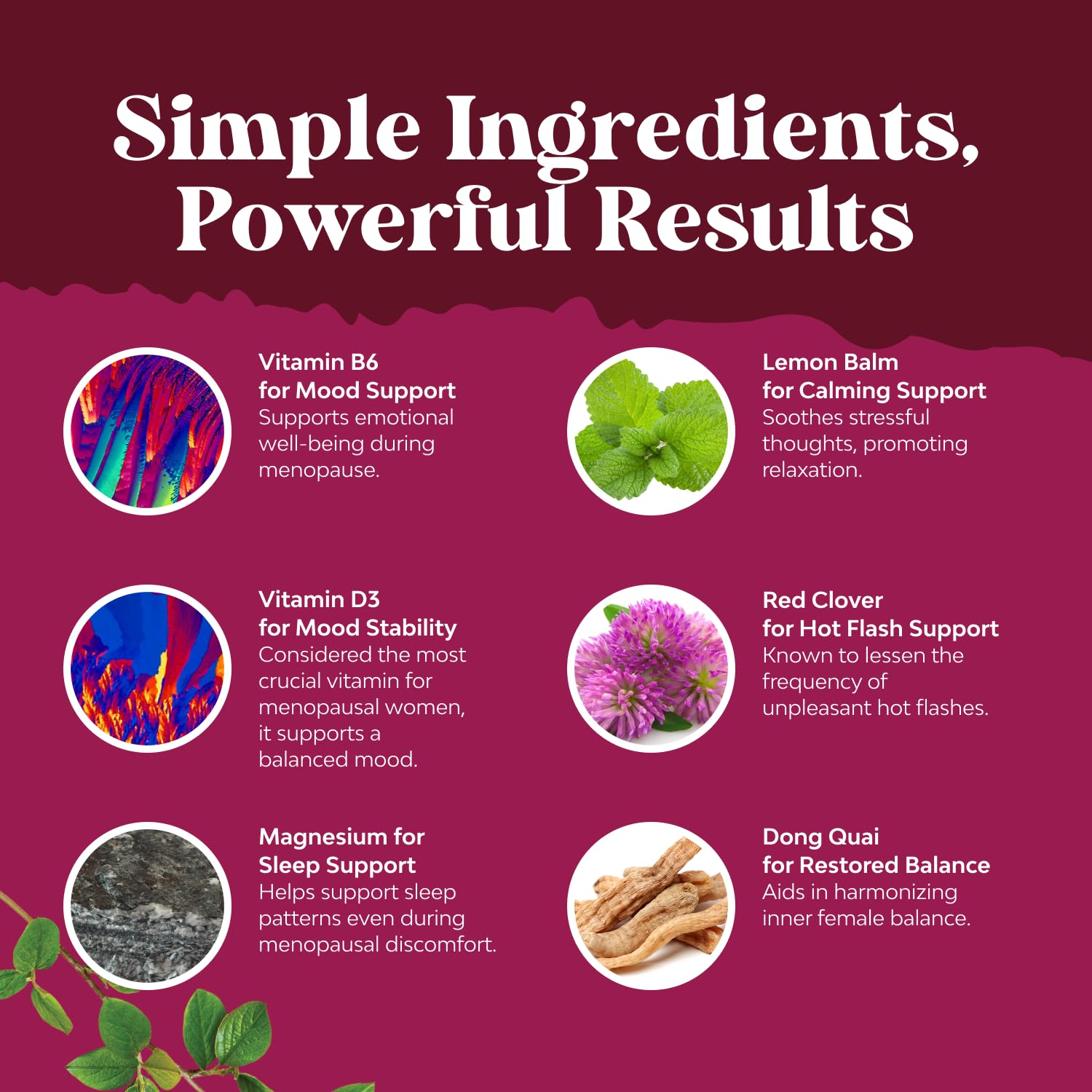 Complete Herbal Menopause Supplement for Women - Soy Free Female Hormone Balance Capsules for Night Sweats Hot Flashes & Mood Swings with Dong Quai, Chaste Berry & Black Cohosh Root - 75 Count Natures Craft buy supplements canada