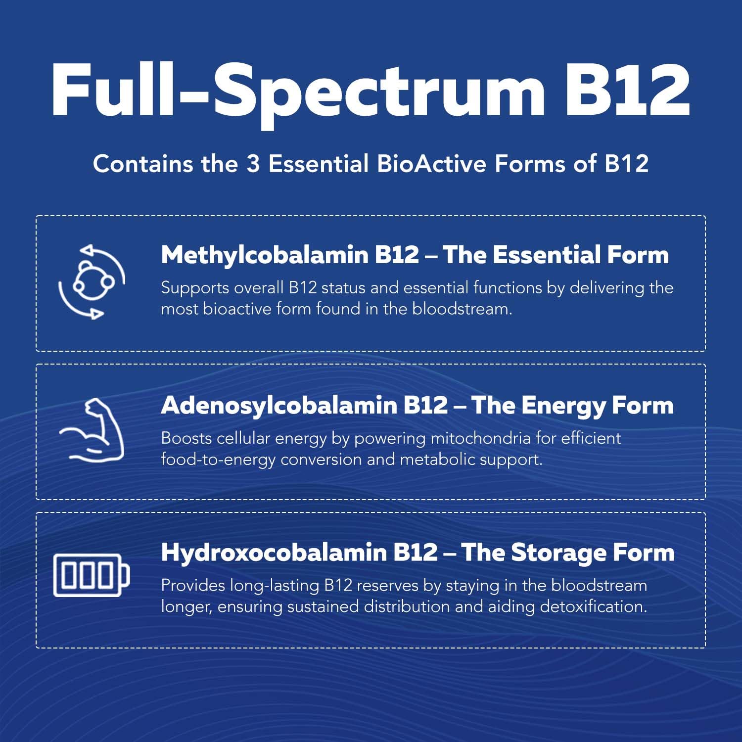 BioActive Vitamin B Complex - Blood Stream Ready, Methylated B Complex - Featuring Methylfolate, 3 BioActive Forms of B12, BenfoPure® B1 & Pantesin Triquetra Health buy supplements canada
