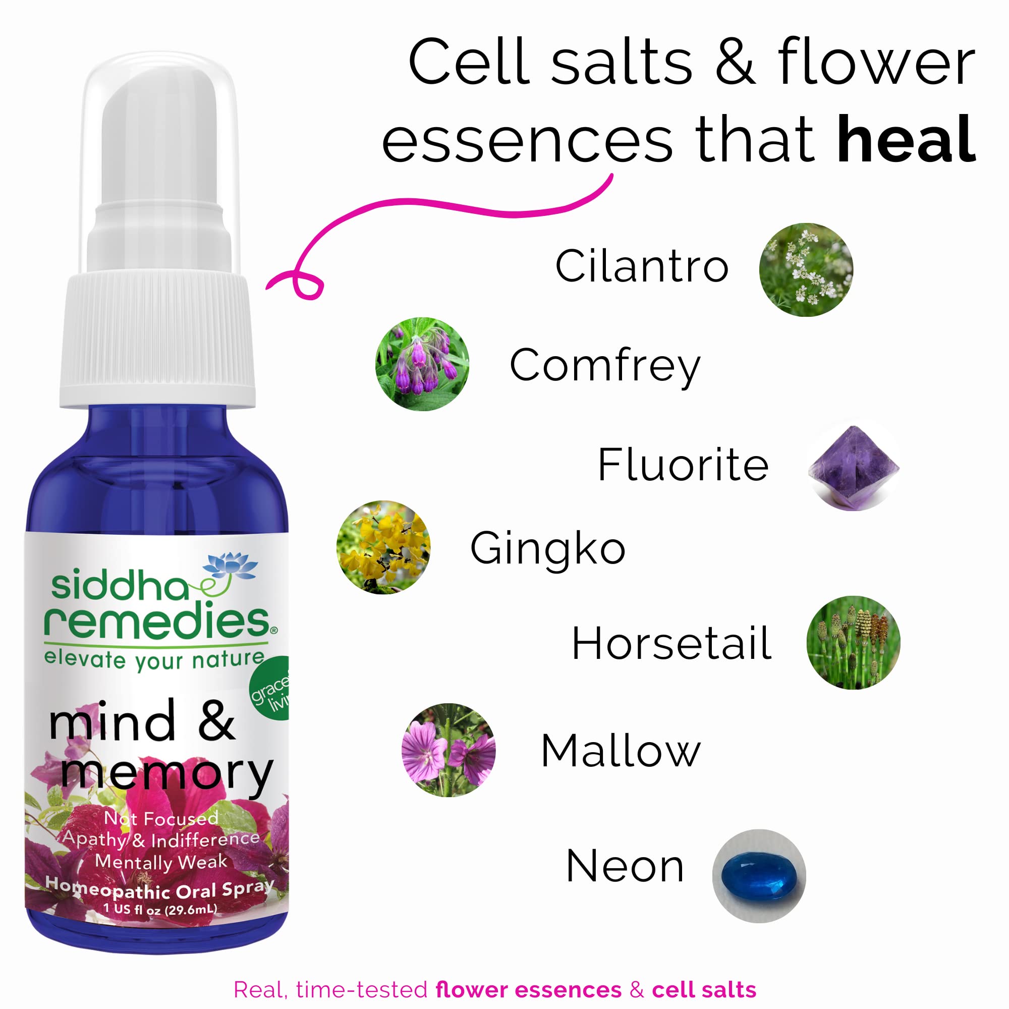 Siddha Remedies Mind & Memory Spray for Apathy, Indifference & Low Focus Siddha buy supplements canada