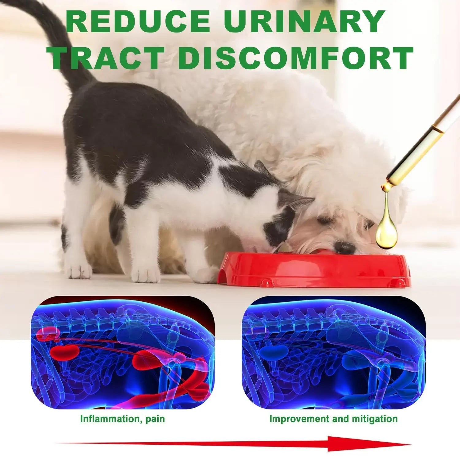 Urinary Tract for Cats, Cat & Dog Urinary Tract Drops Infection Remedy with Cranberry Dog Supplements, Cranberry Kidney Bladder Support Supplement - 60ml / 2 Fl.oz JoanofArc buy supplements canada