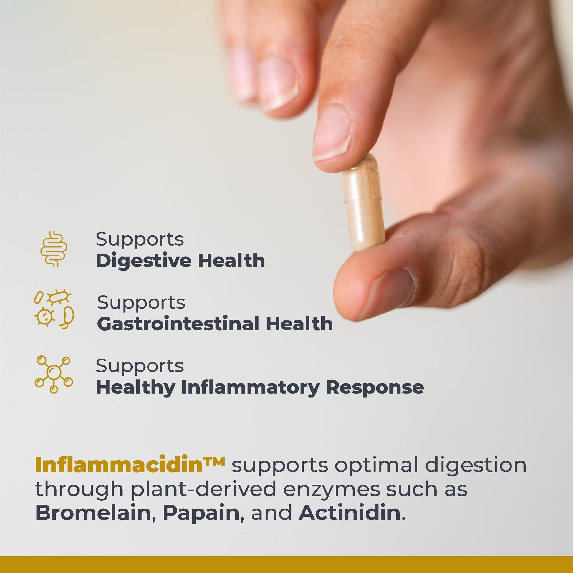 Premier Research Labs Inflammacidin - Digestive Enzymes, Papain from Papaya, and Bromelain Enzymes for Digestion, Plant Enzymes for Women & Men, Vegan Friendly - 90 Vegetarian Capsules Premier Research Labs buy supplements canada