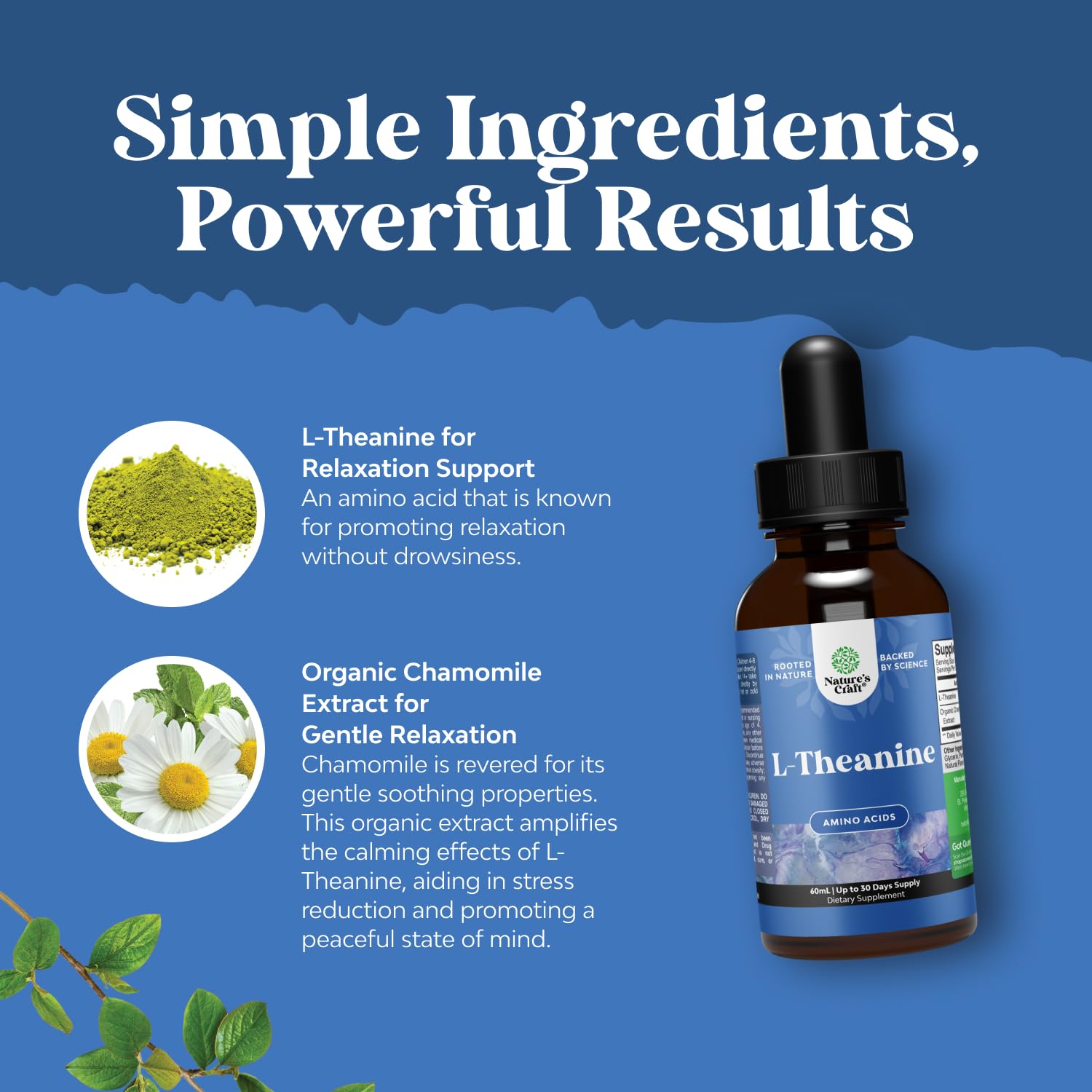 High Absorption L-Theanine Liquid Drops - Nootropic Focus Supplement with L Theanine 200mg Per Serving and Chamomile Extract Supplement for Adults and Kids Relaxation and Focus - 2 Fl Oz Natures Craft buy supplements canada