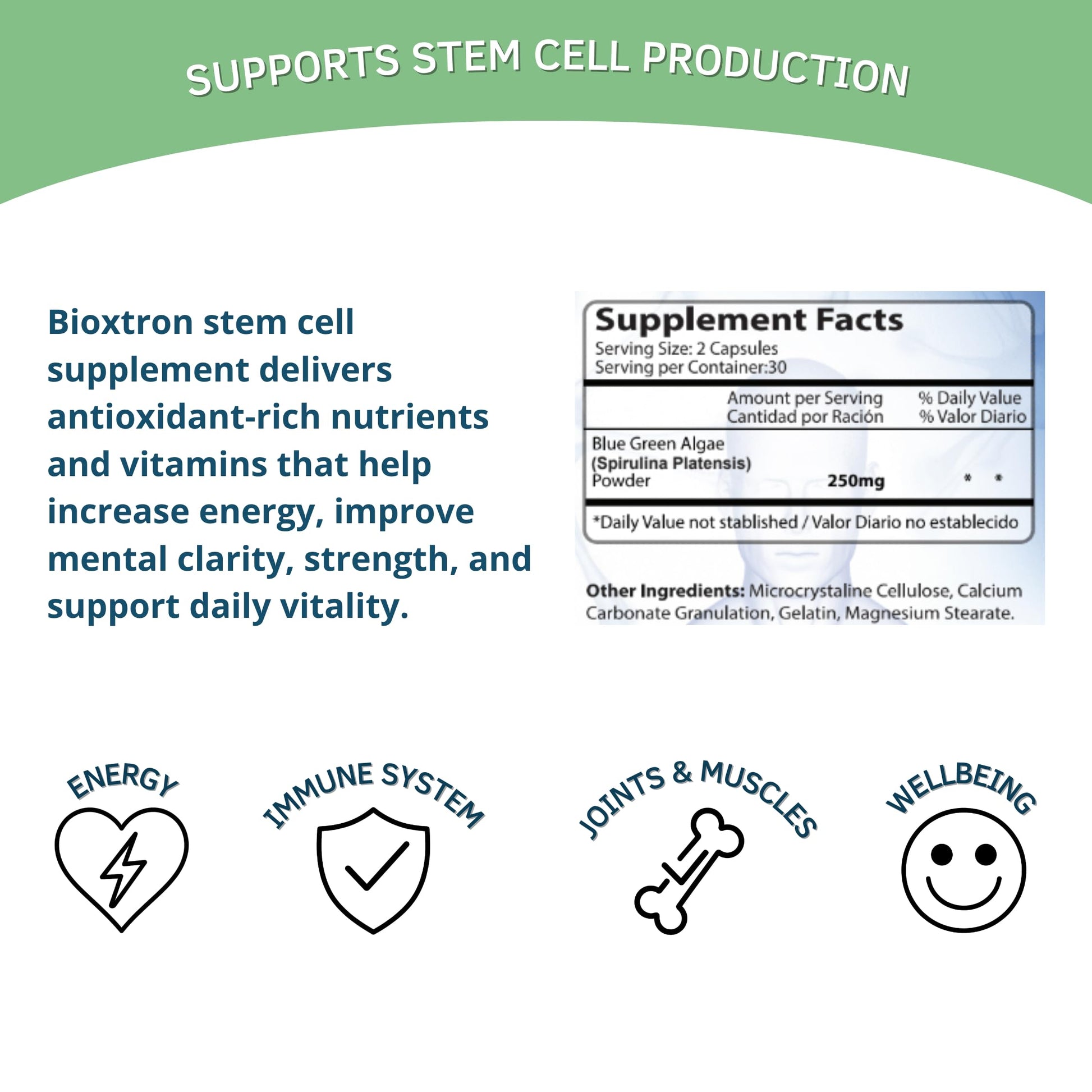 Bioxtron Natural AFA Stem Cell Supplement - Joint Support & Muscle Pain - Immune System Support - Support Energy Levels - Natural Blue Green Algae Spirulina - Pack of 2-120 Caps Bioxtron buy supplements canada
