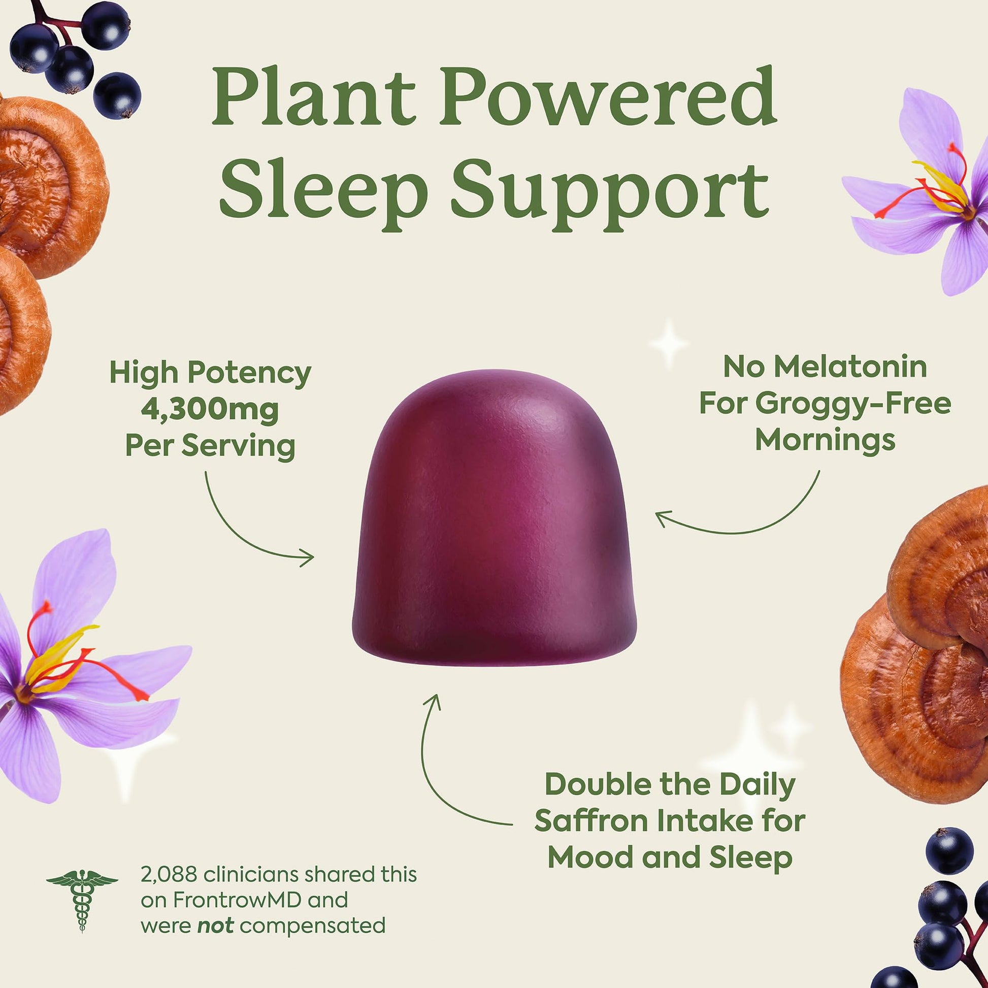 Plant People WonderSleep Mushroom Gummies Supplement for Sleep, No Melatonin with Reishi Super Mushrooms, Wild Elderberry Flavor, Sugar-Free (60 Count) Plant People buy supplements canada