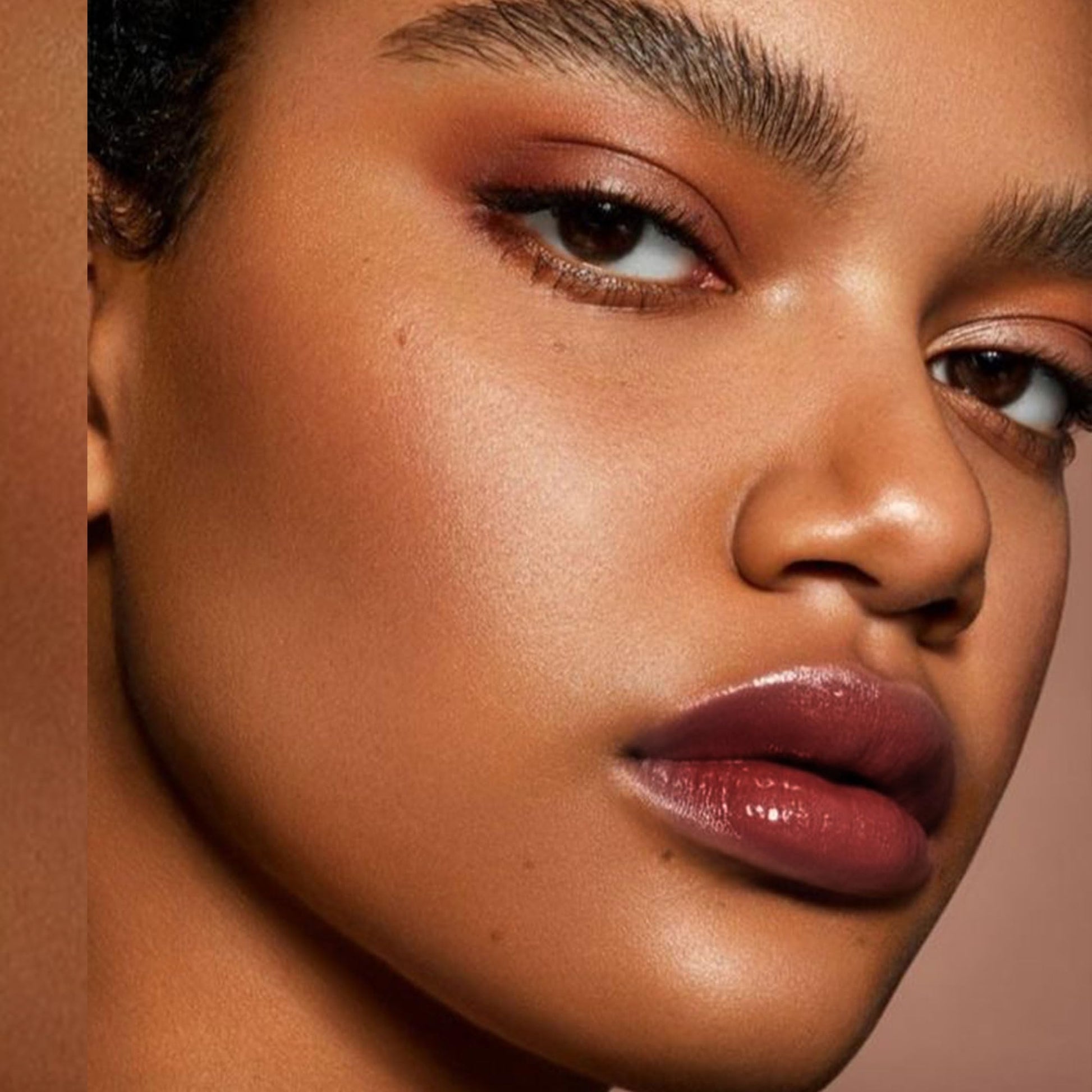 Depuplum Black Berry Lipstick for Women Hydrate Glossy Lipstick Moisture Lip Gloss Sheer-Medium Coverage Long Lasting Lipsticks for Dry Lips (DM65 Berry) Depuplum buy supplements canada