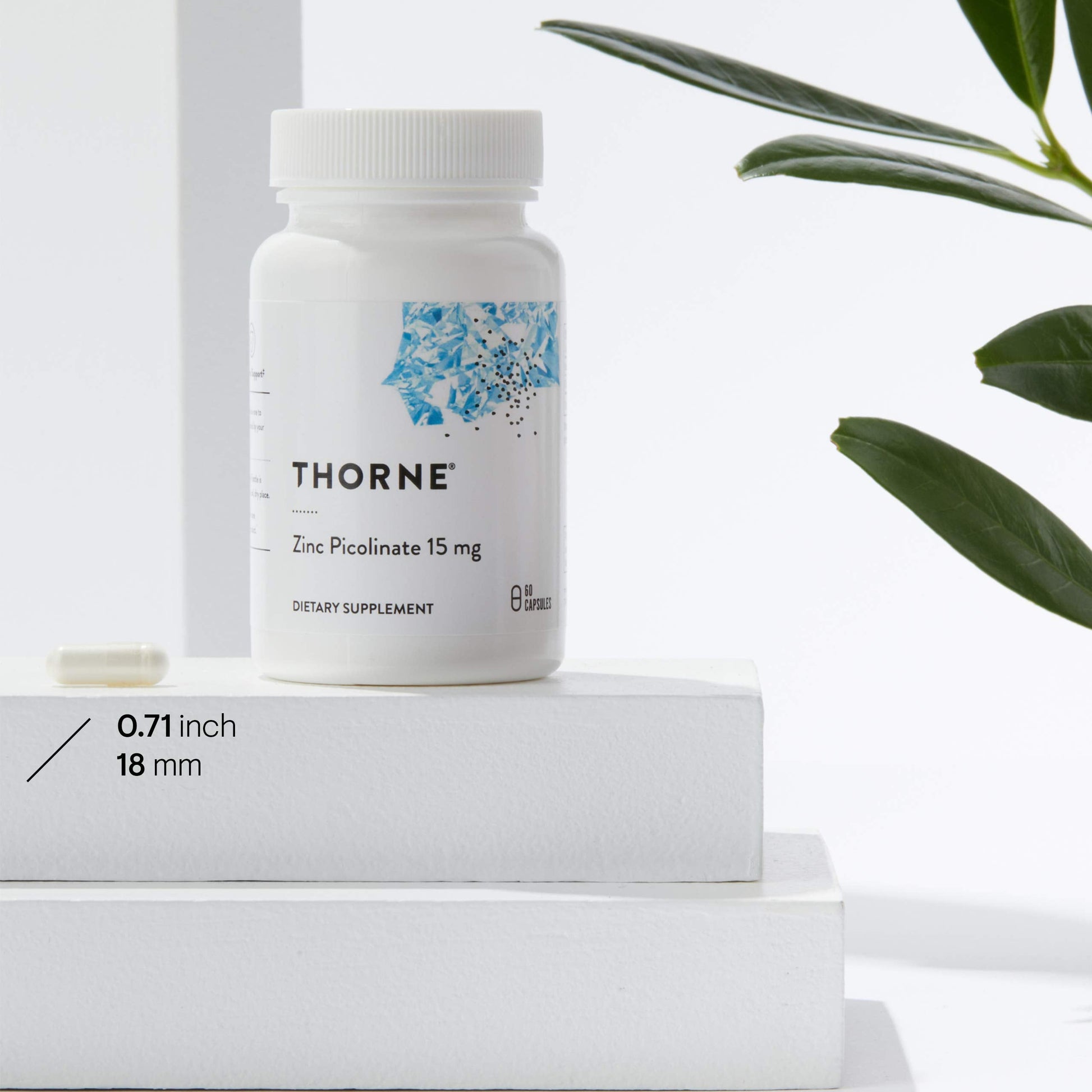Thorne Zinc Picolinate 15mg - Highly Absorbable Zinc Supplement - Supports Wellness THORNE buy supplements canada