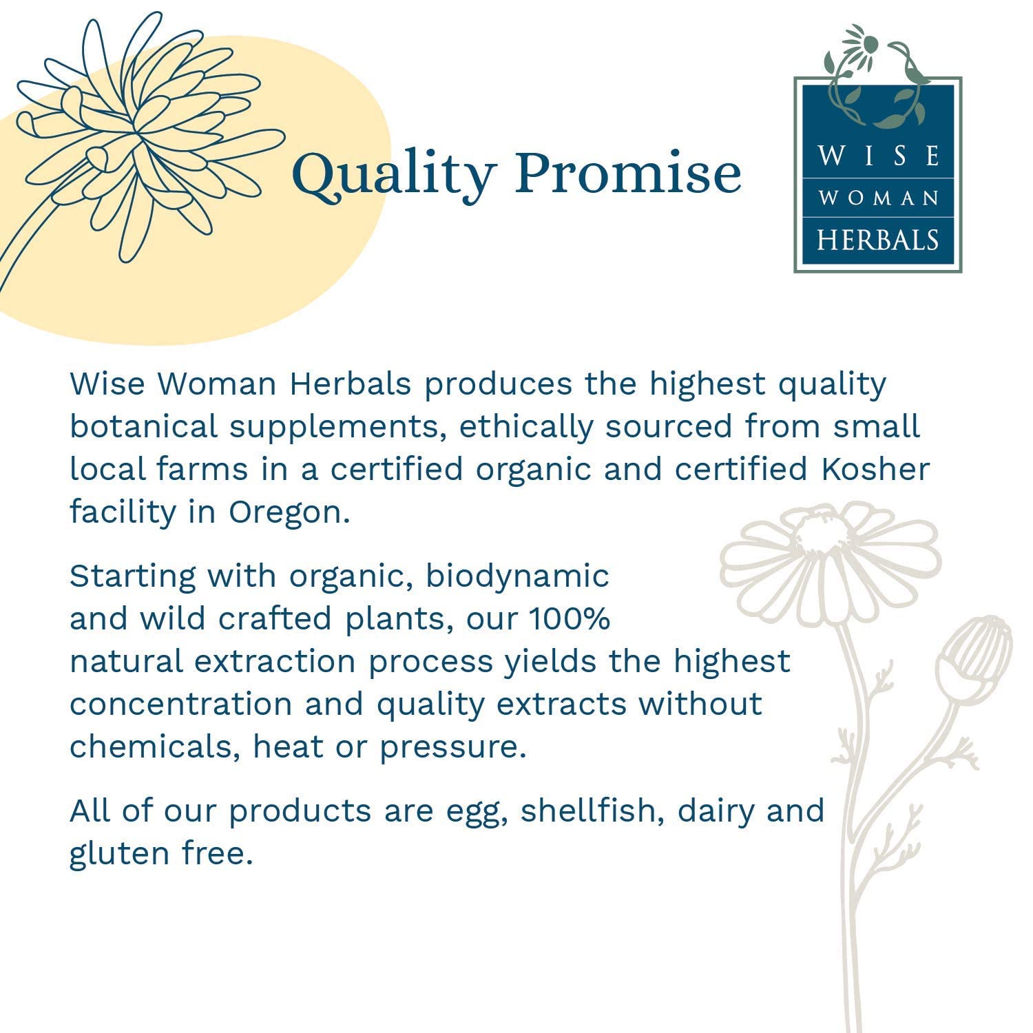 Wise Woman Herbals – Fiber Flow Capsules 120 Count – Supports Healthy Digestive Function, Gut Health, Bowel Health and Regularity Wise Woman Herbals buy supplements canada