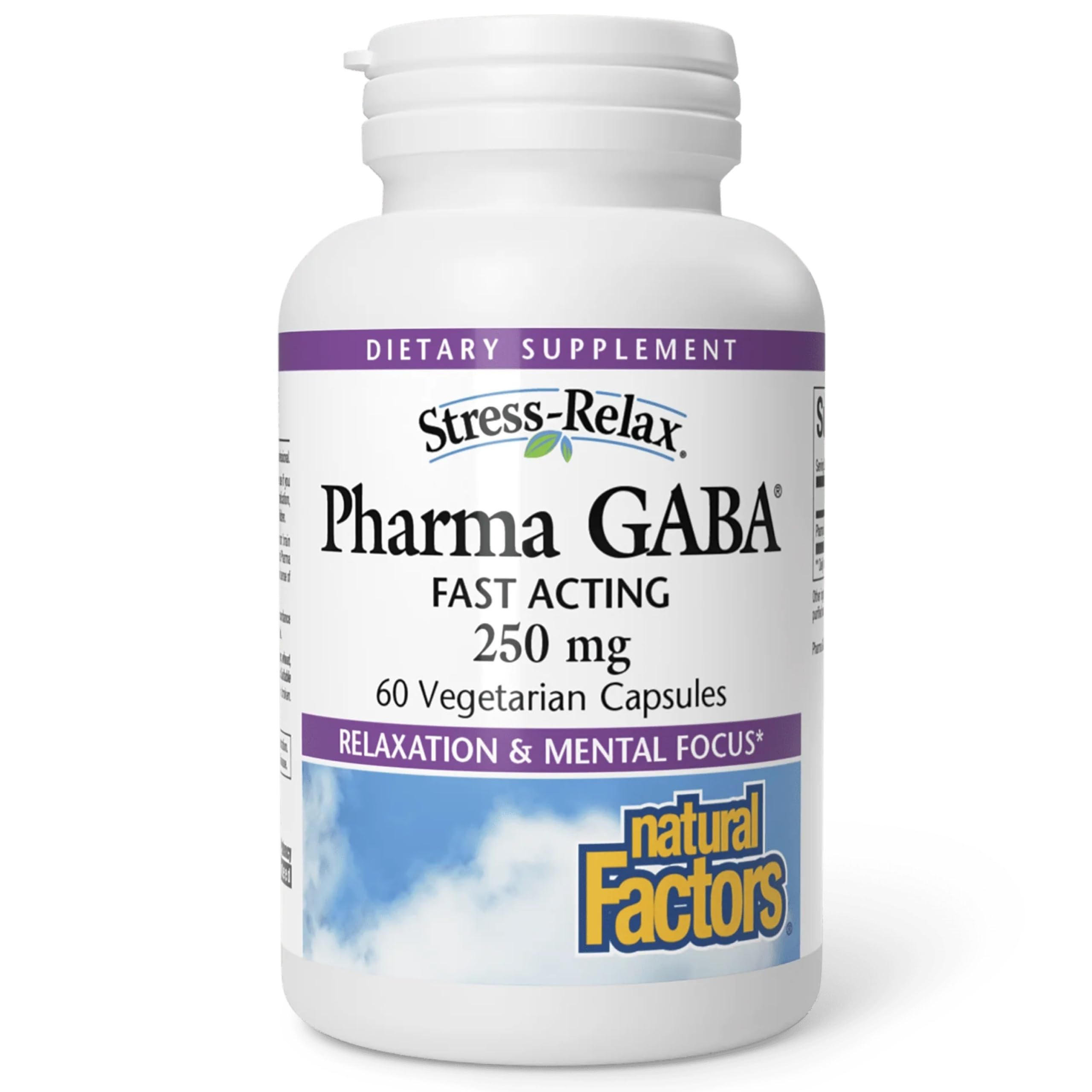 Natural Factors Pharma GABA - Dietary Supplement Supports Calm Sleep & Sleep Quality - Natural, Fast-Working Supplement Aids Focus & Brain Health - 60 Chewable Tablets (60 Servings) Natural Factors buy supplements canada