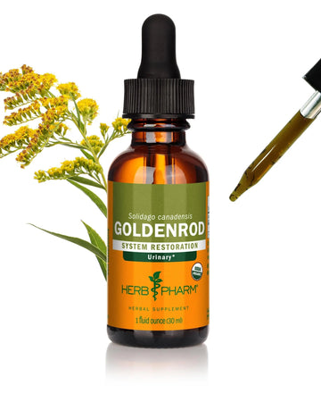 Herb Pharm Certified Organic Goldenrod Liquid Extract for Urinary System Support, 1 Fl Oz (Pack of 1) Herb Pharm buy supplements canada