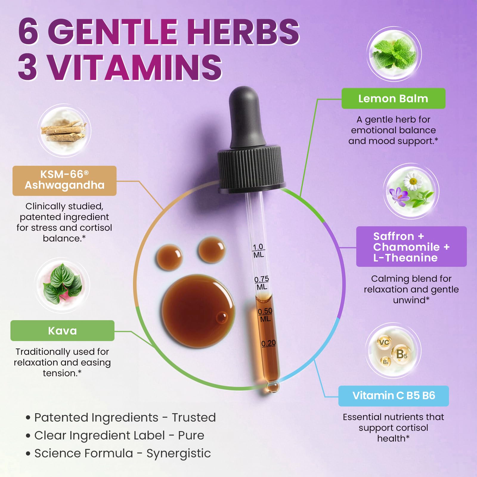 Cortisol Supplements for Women, Cortisol Reducer Manager Detox with KSM-66® Ashwagandha, Kava, Lemon Balm & Vitamin C B5 B6, Lower Cortisol, Hormone Harmony Liquid Drops, 2 FL.OZ, Blueberry Flavor Lukaree buy supplements canada