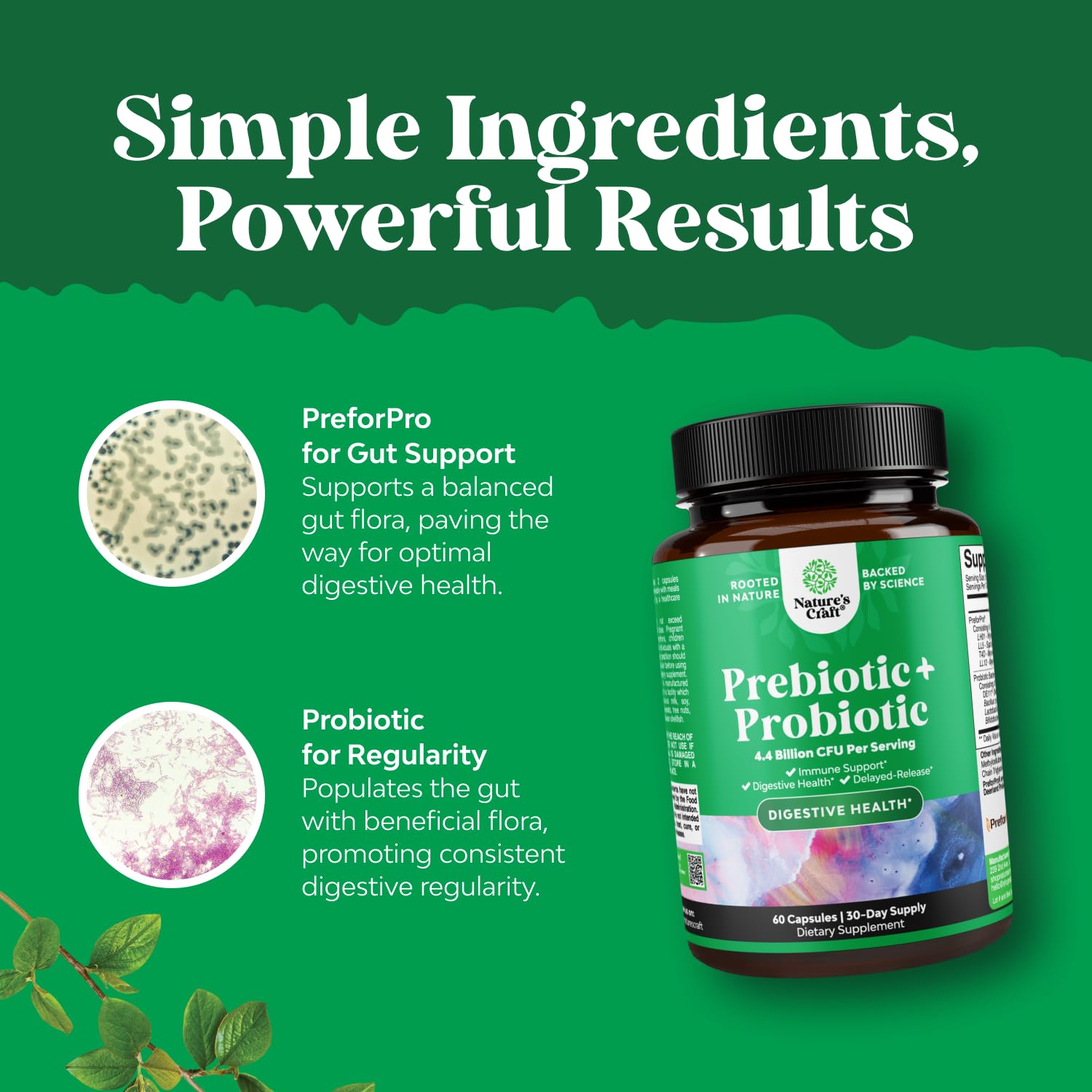 Prebiotics and Probiotics Gut Health Supplement-Super Potent Digestive Health Acidophilus Probiotic Capsules with Men & Womens Probiotics & Prebiotics Natures Craft buy supplements canada