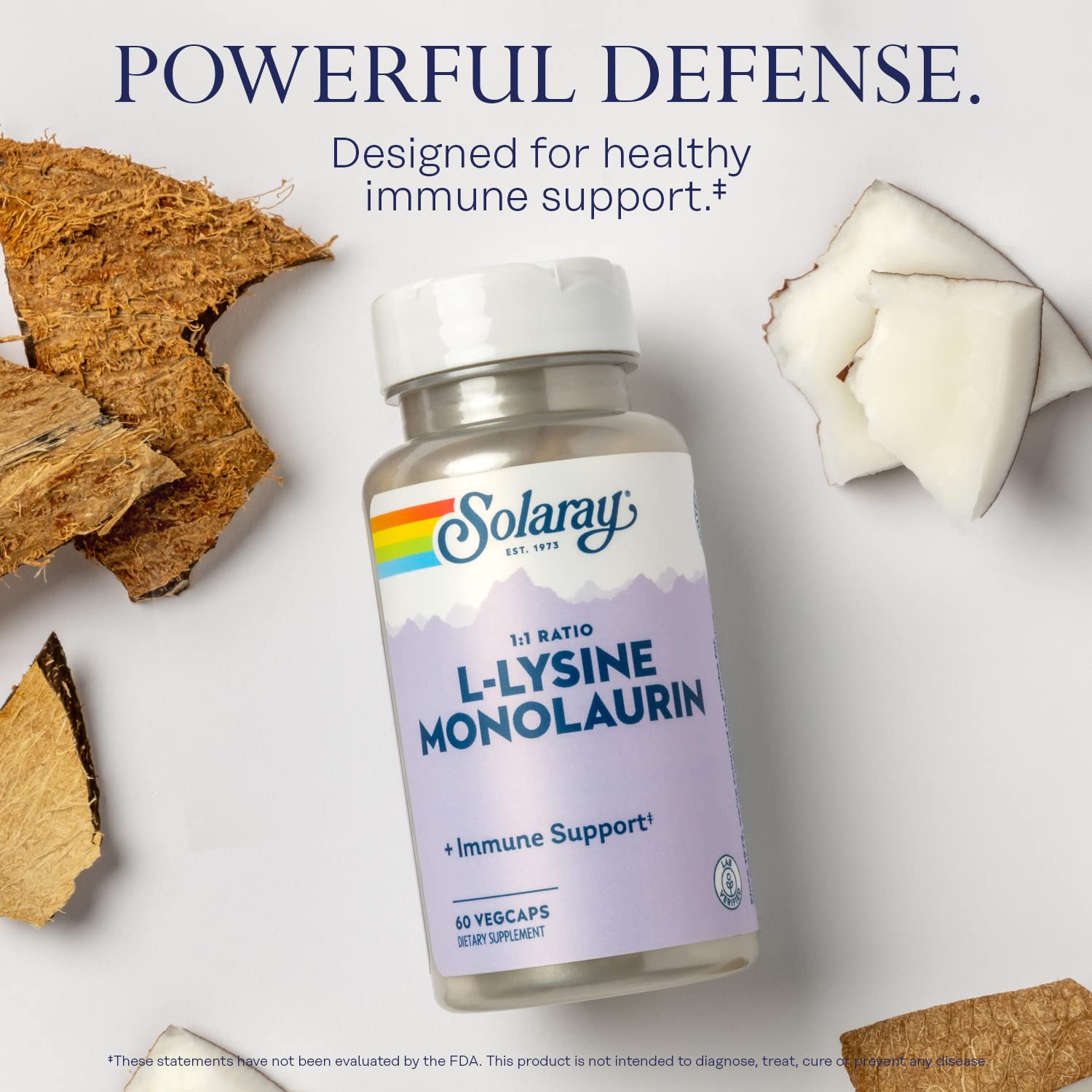 SOLARAY L-Lysine Monolaurin Immune Support Supplement, 1:1 Ratio for Immune System Function, 500 mg Each, 60-Day Money Back Guarantee SOLARAY buy supplements canada