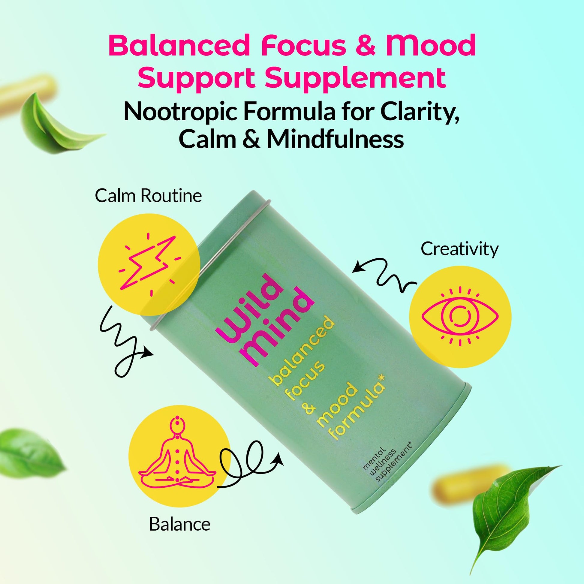 Wild Mind Mental Clarity Balanced Focus & Mood Support Supplement for Mental Wellness– 4-Ingredient Nootropic Brain Support for Calm & Energy – Vegan, 90 Capsules, 30-Day Supply Wild Mind buy supplements canada