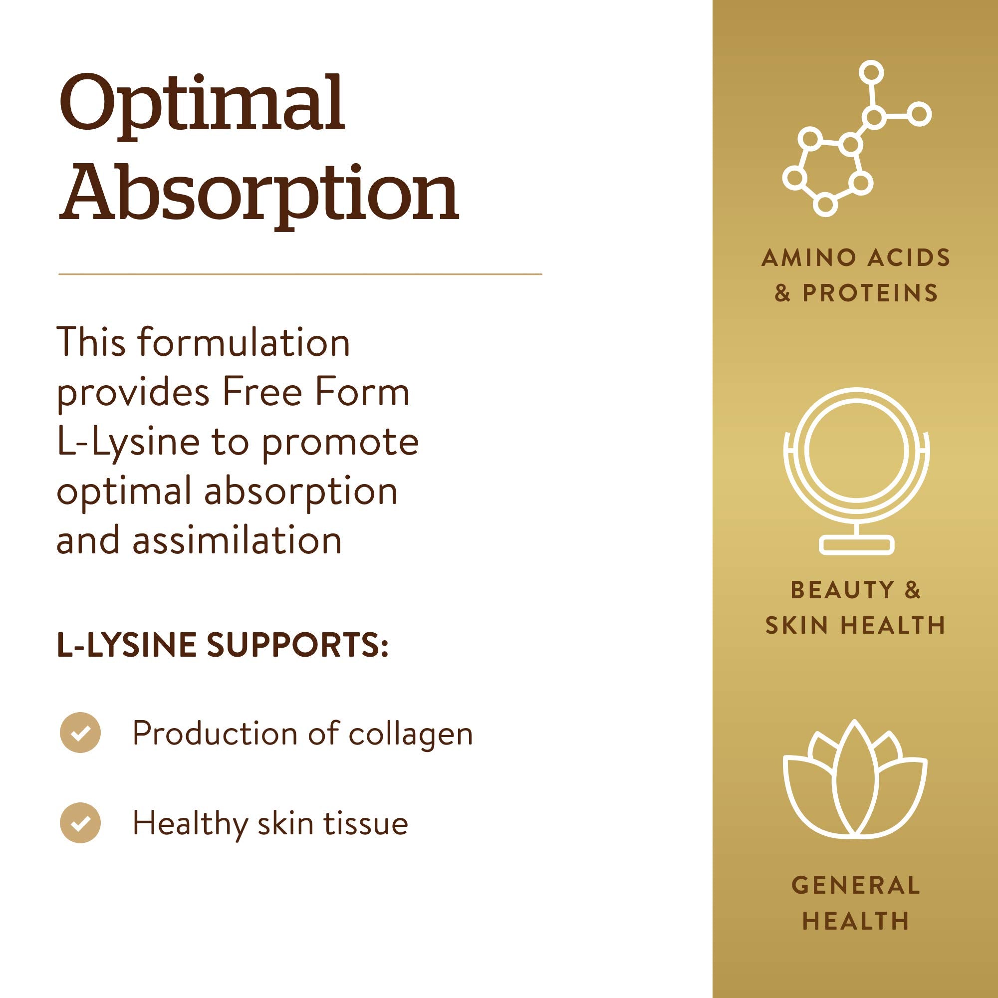 Solgar L-Lysine 1000 mg, 250 Tablets - Enhanced Absorption and Assimilation - Promotes Integrity of Skin and Lips - Collagen Support - Amino Acids Solgar buy supplements canada