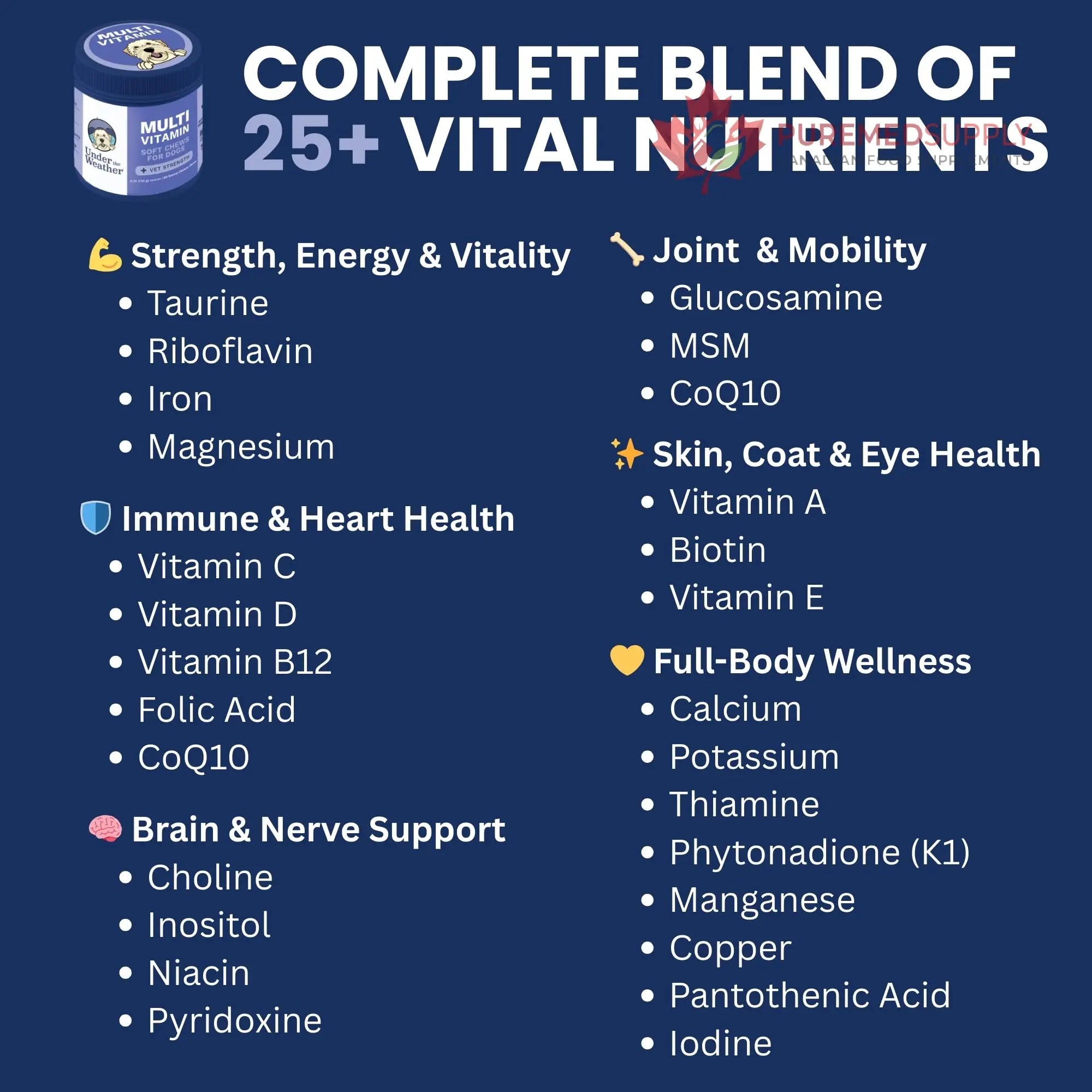 Under the Weather Multivitamin for Dogs | Vet Formulated Daily Canine Health Supplies for Immunity, Skin, Coat & Joint Support | All-in-One Multivitamin for Dogs of All Breeds & Sizes | 60 Count Under the Weather buy supplements canada