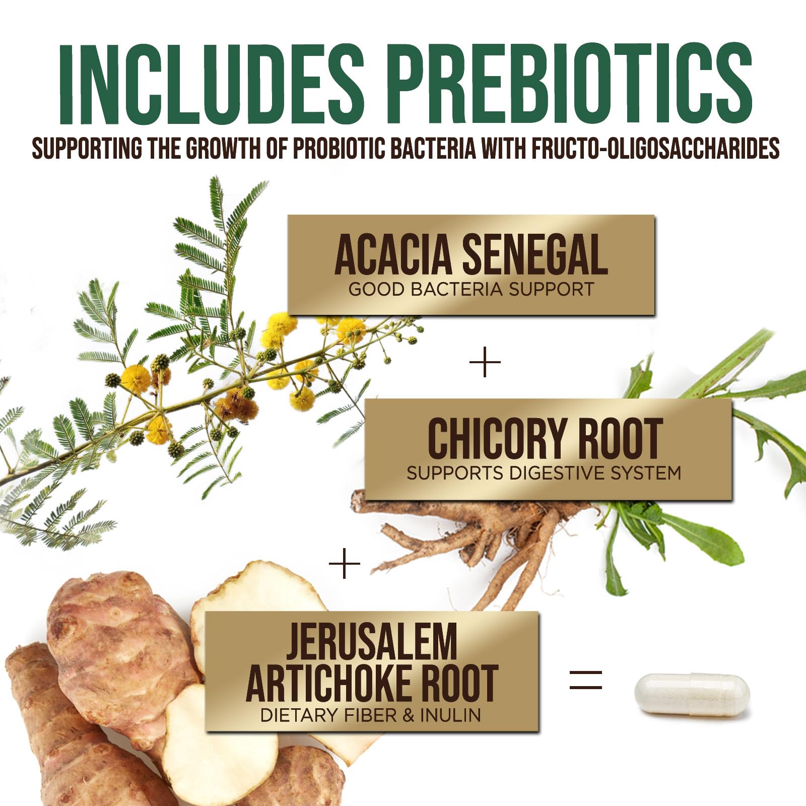 Probiotics 50 Billion CFU per Serving - 10 Strains + Prebiotics - Digestive Health, Gut & Immune Support - Occasional Constipation, Gas & Bloating Support for Women & Men, Bottled USA - 60 Capsules Health Nutrition Naturals buy supplements canada