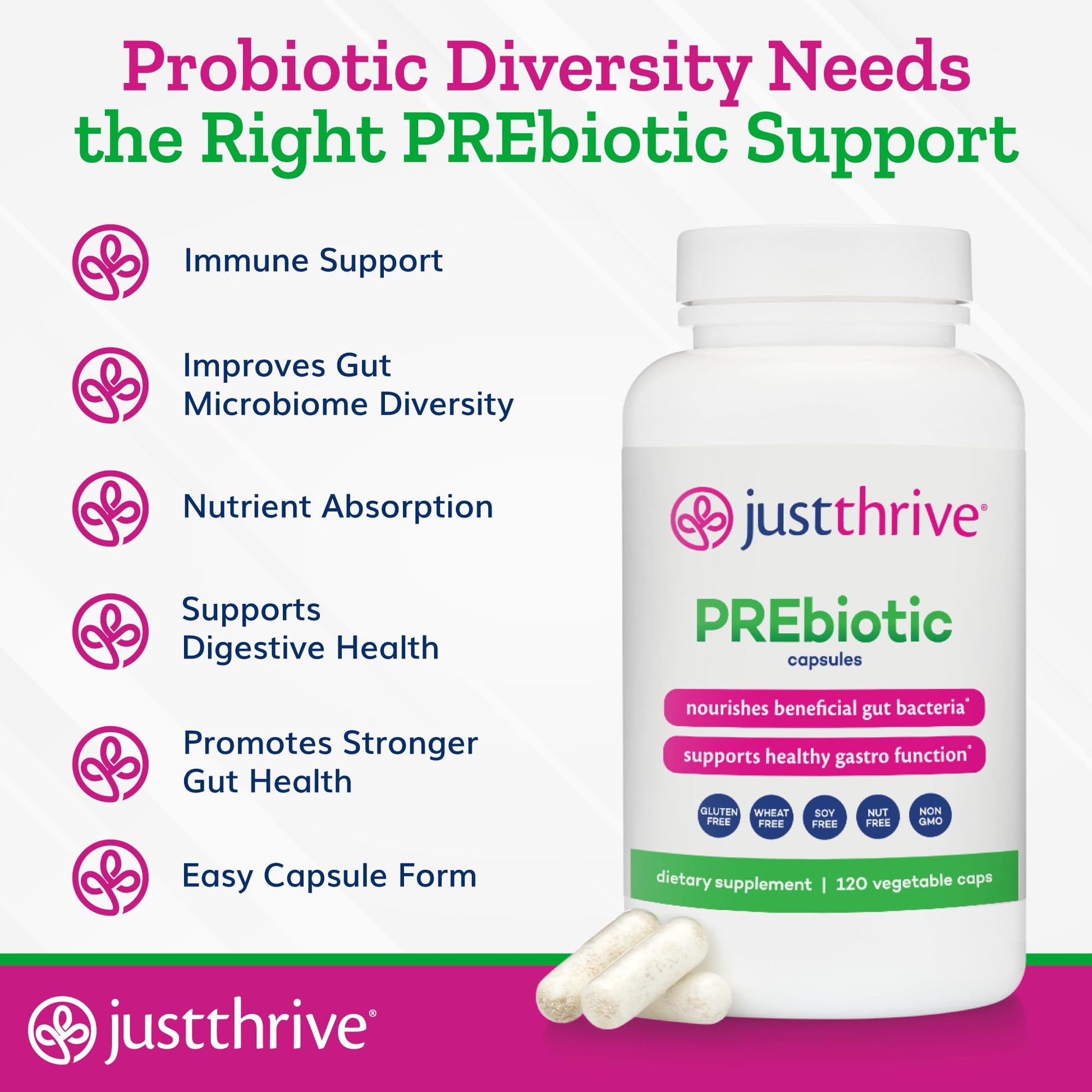 Just Thrive PREbiotic Capsules - Prebiotic Blend for Gut Health and Immune Support, 120 Caps Just Thrive buy supplements canada
