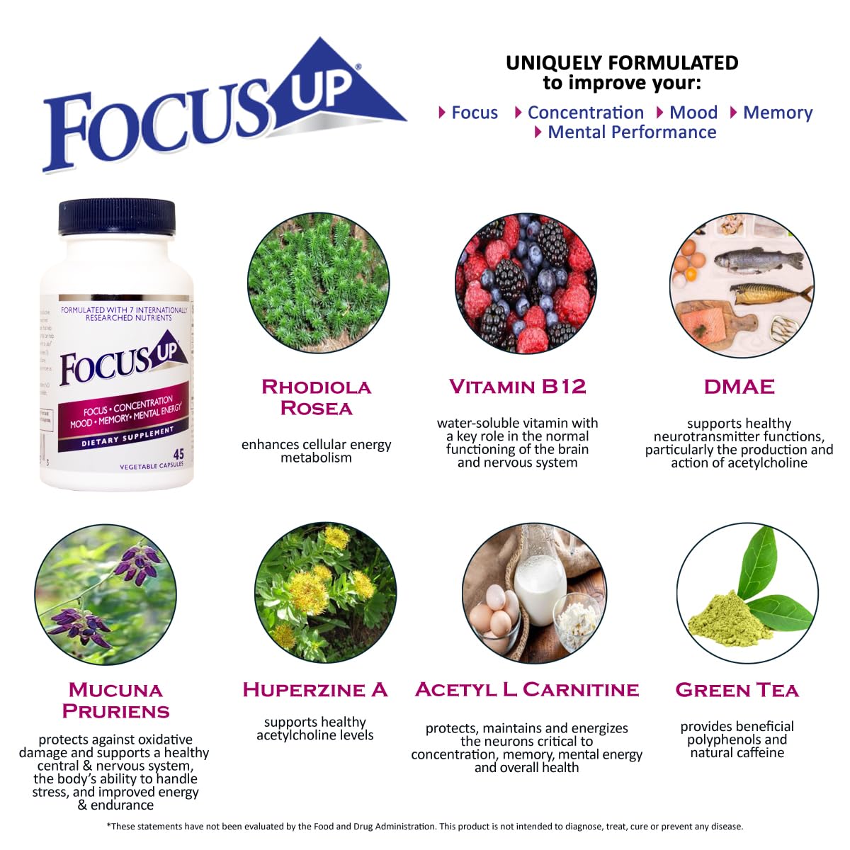 FocusUP Brain & Energy Support Supplement – Natural Nootropic Capsules with Acetyl L-Carnitine, Rhodiola, DMAE & Huperzine-A | Supports Focus, Memory, Mood & Mental Clarity | 45 Sugar-Free Capsules Xooma buy supplements canada