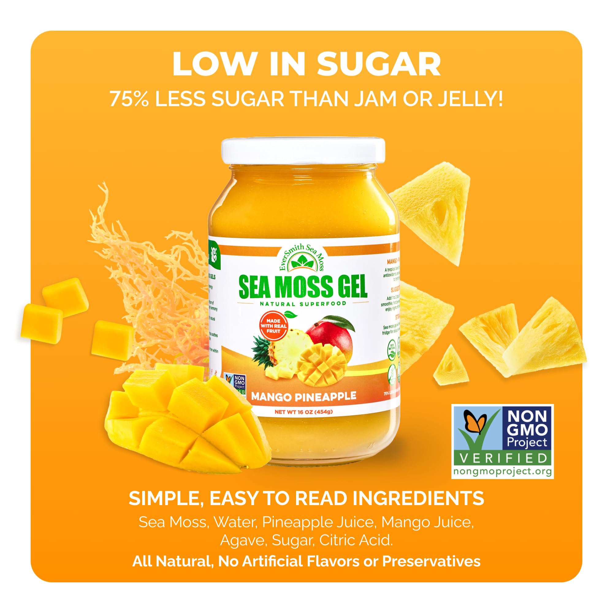 EverSmith Organics - Wildcrafted Irish Sea Moss Gel | Made in USA | Rich in Vitamins & Minerals | Sea Moss Gel Raw EverSmith Organics buy supplements canada