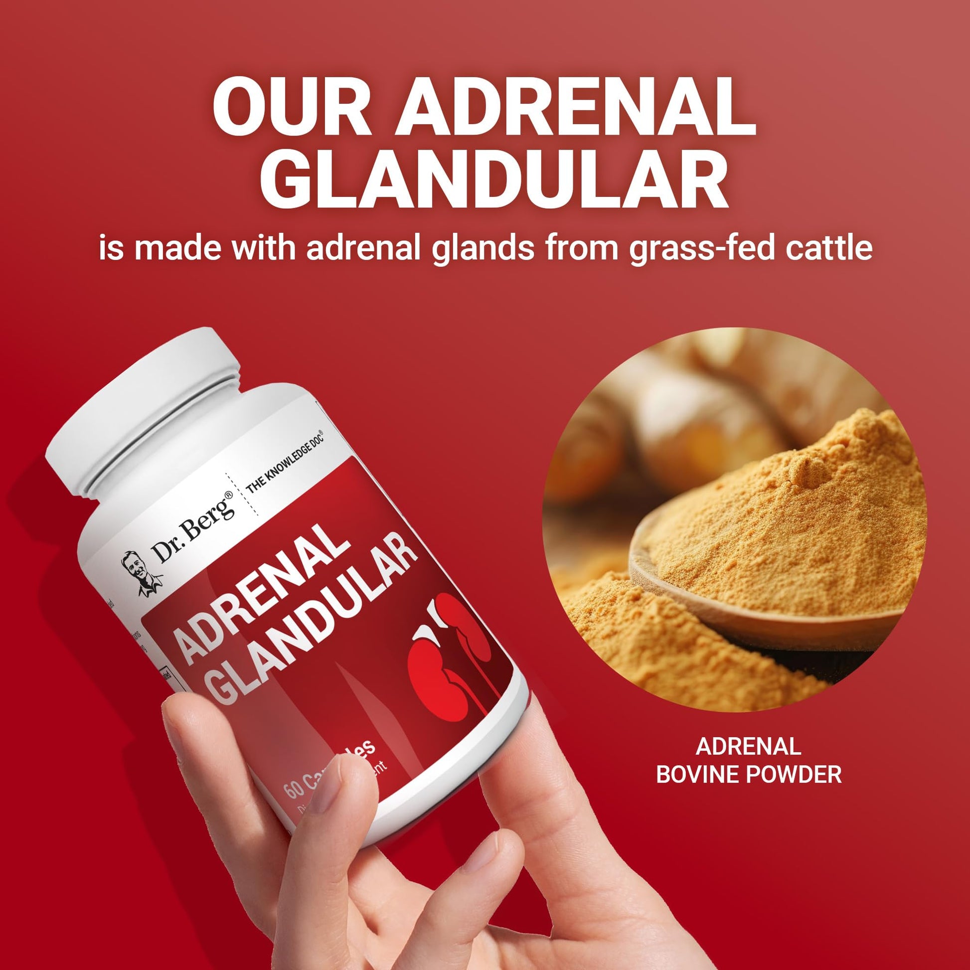 Dr. Berg Adrenal Glandular - Hormone Balance Formula That Supports Healthy Adrenal Function - Adrenal Support Supplement - 60 Capsules Dr. Berg Nutritionals buy supplements canada