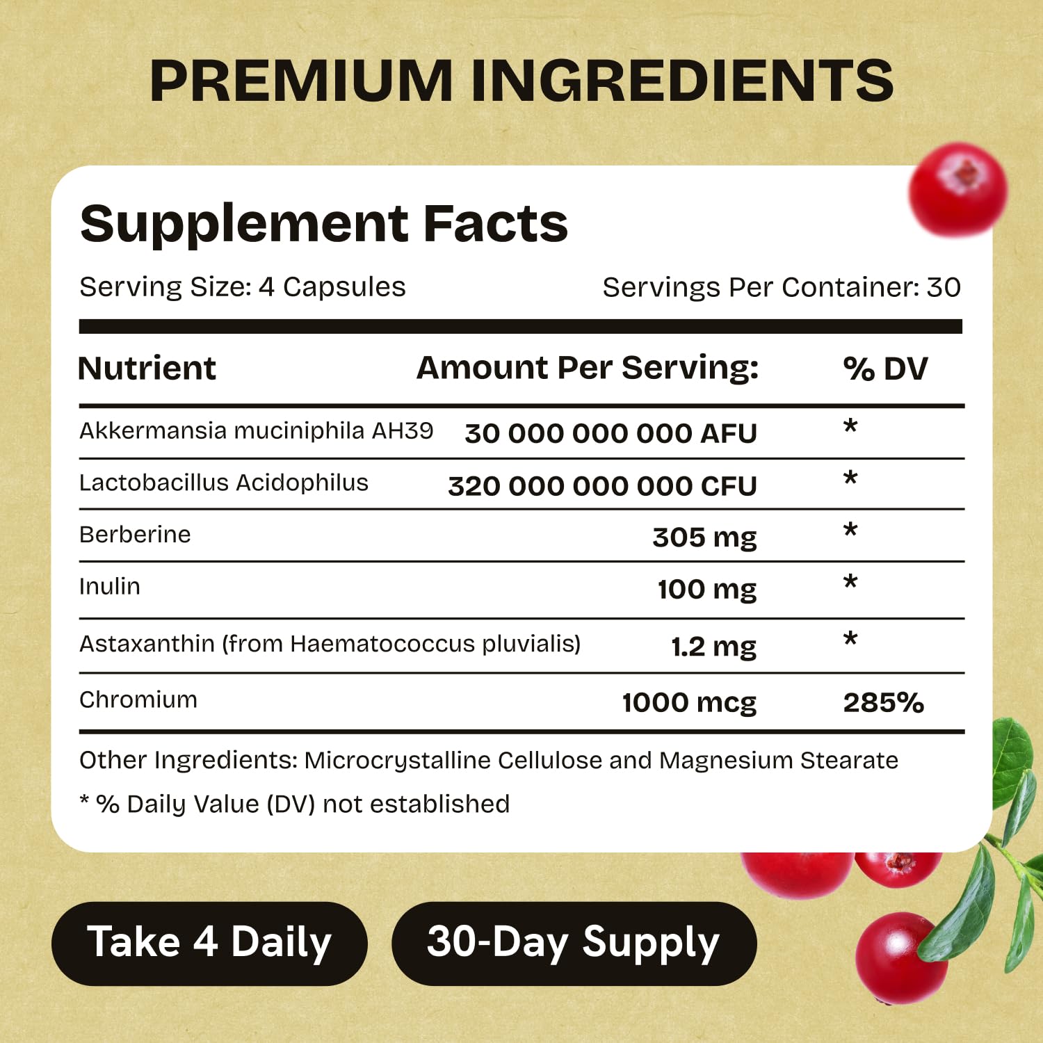 Akkermansia Muciniphila Probiotics 320 Billion CFU| Probiotic and Prebiotic | Akkermansia Probiotics for gut health | Inulin Prebiotic Fiber Capsules Astaxanthin & Berberine & Chromium | 120 capsules Stanis Labs buy supplements canada